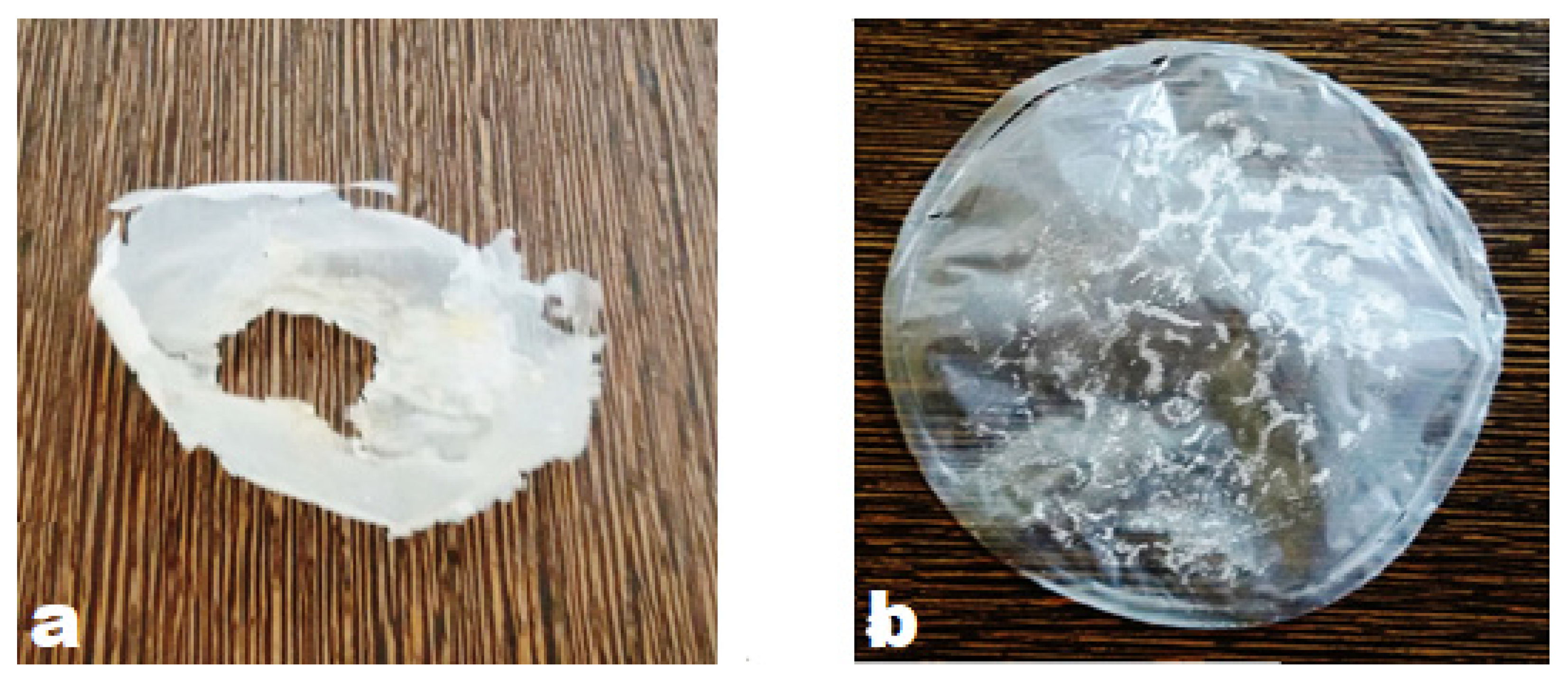 Molecules 26 02443 g008