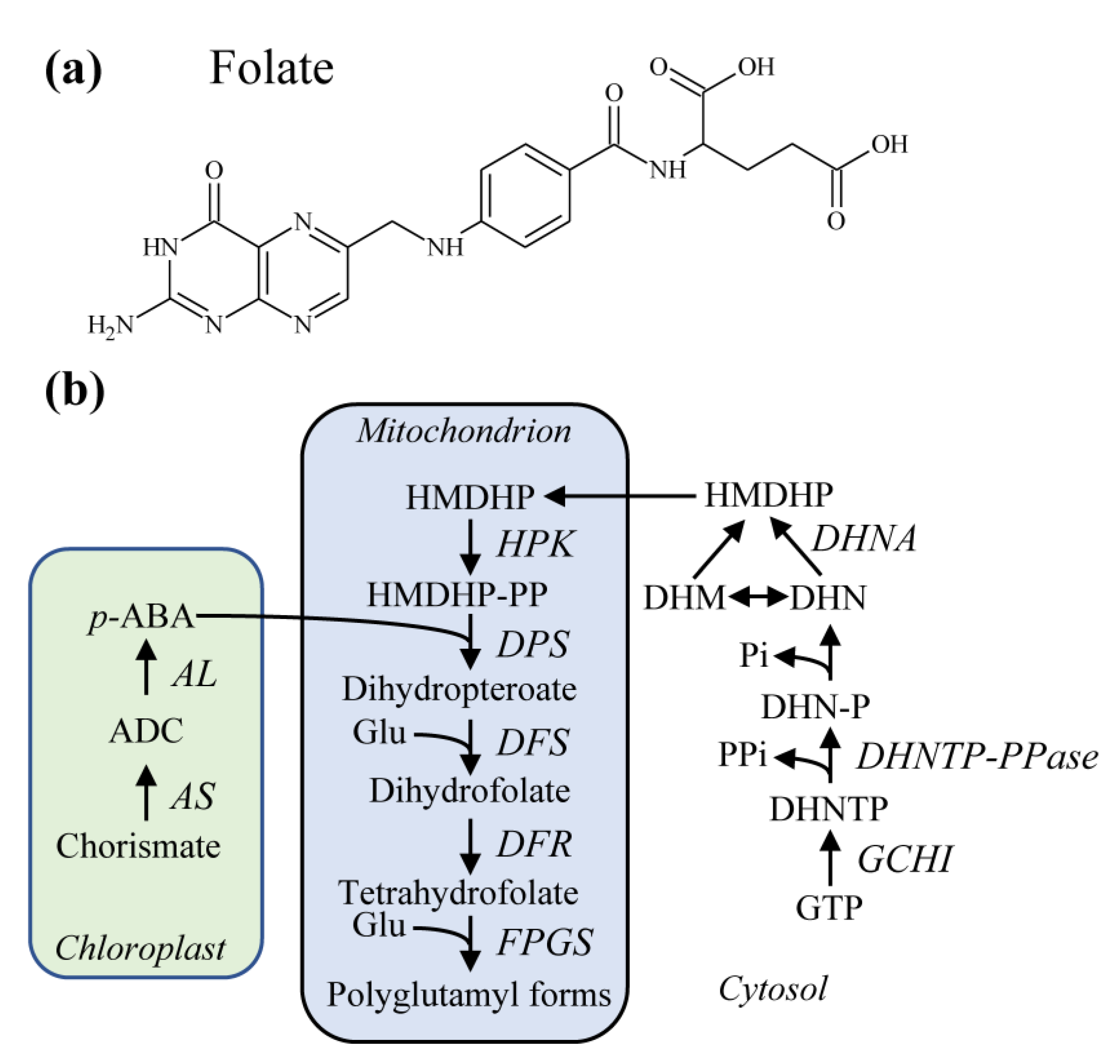 Molecules 26 02446 g003