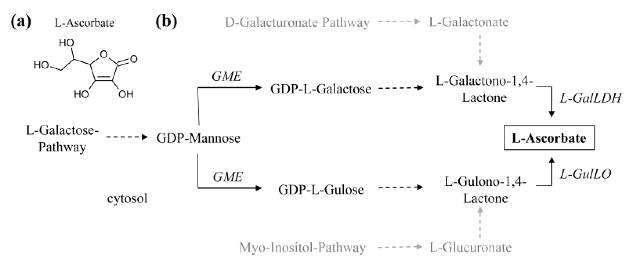 Molecules 26 02446 g004