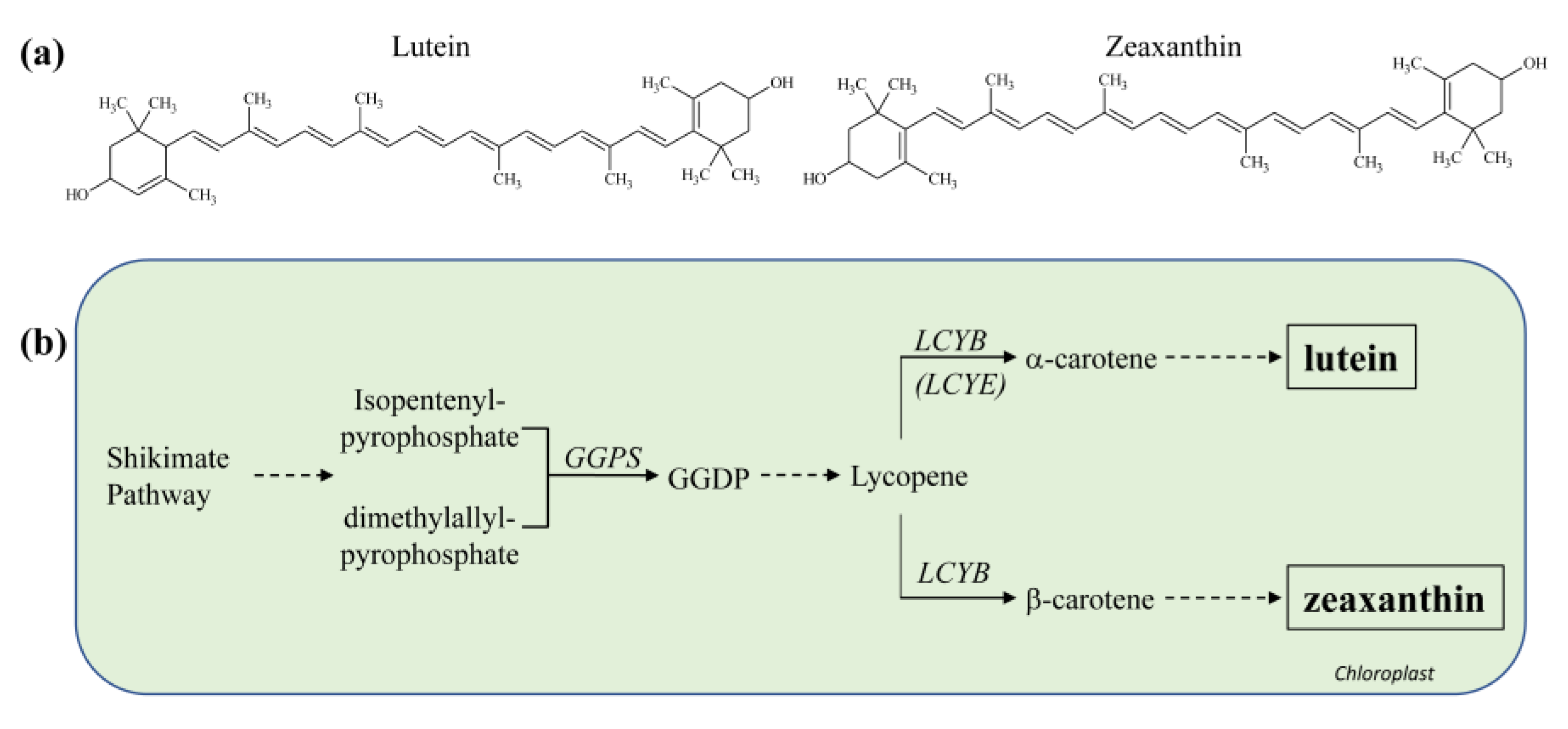 Molecules 26 02446 g005
