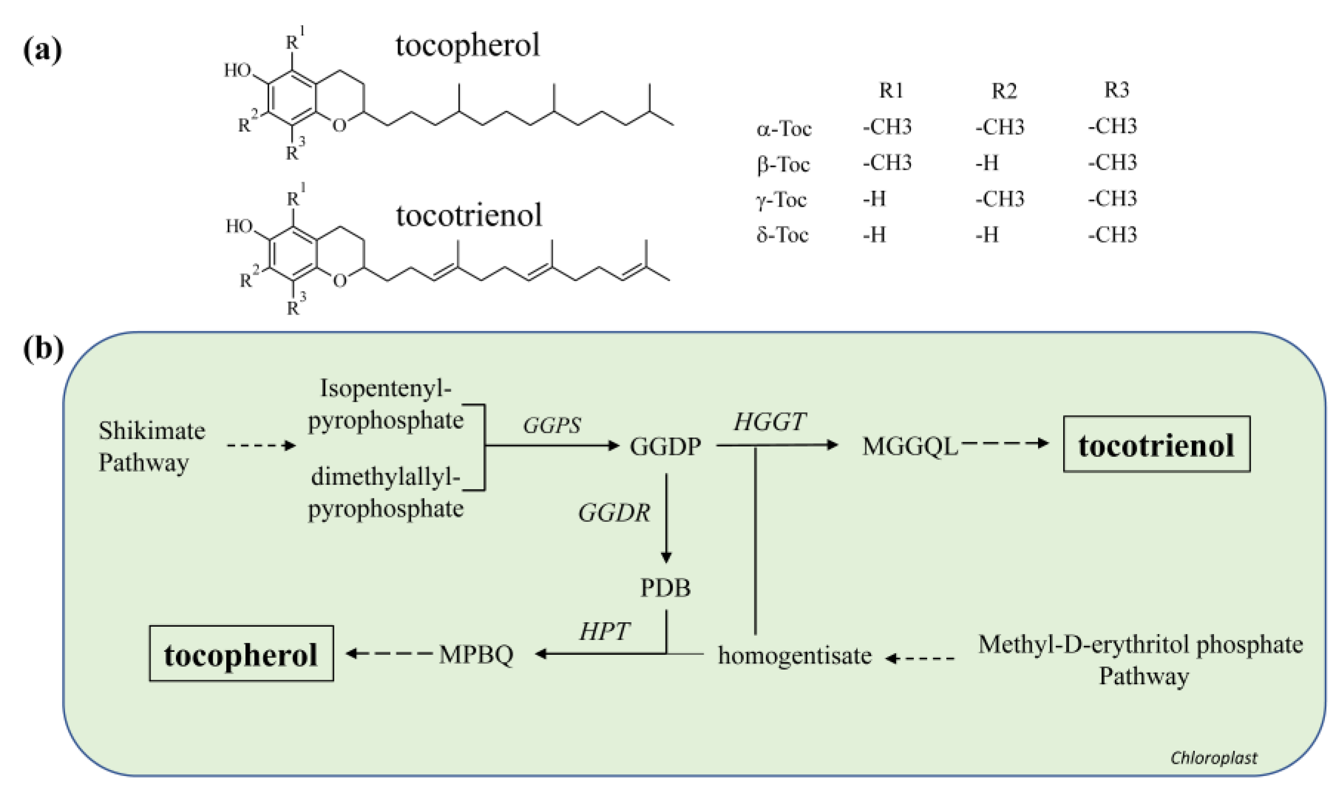 Molecules 26 02446 g006