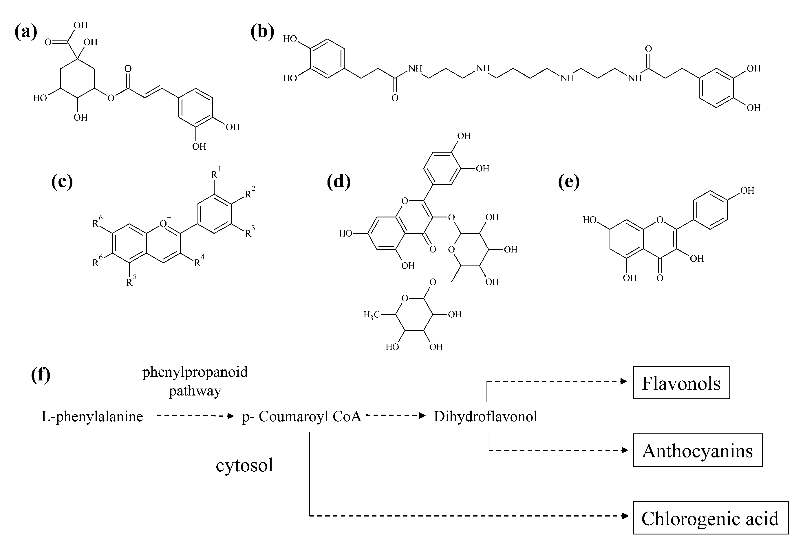 Molecules 26 02446 g007