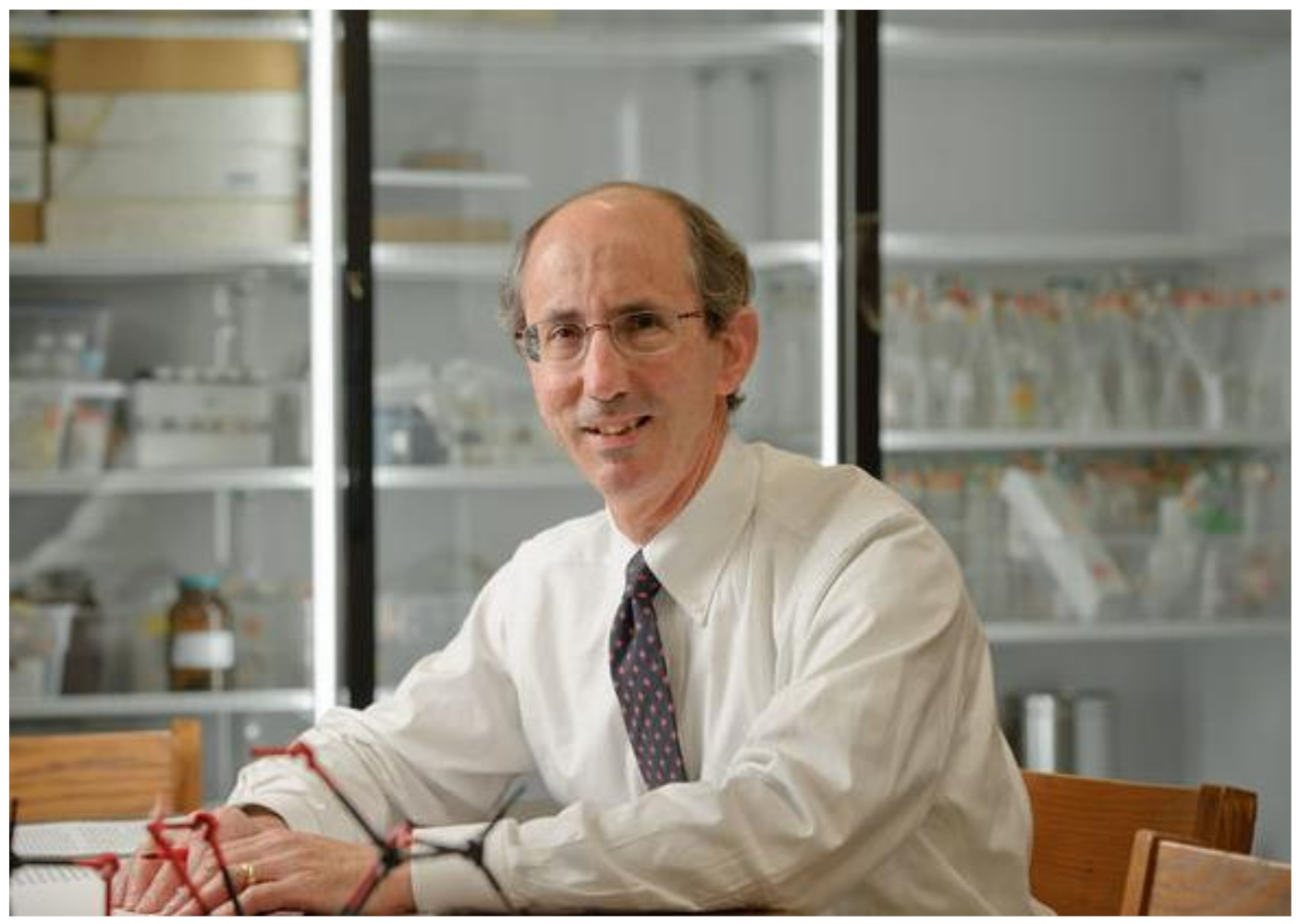 Molecules 26 02450 g001