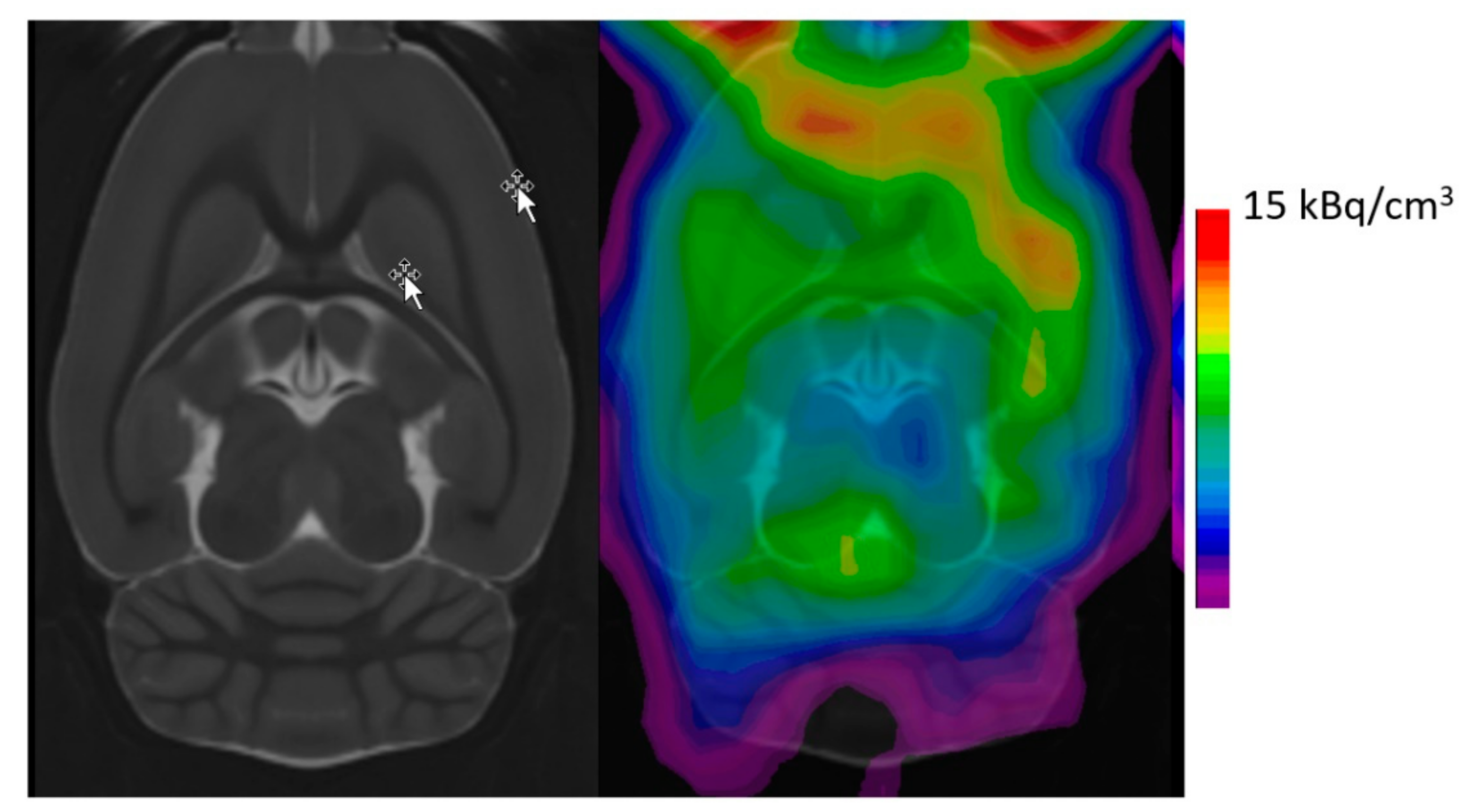 Molecules 26 02451 g004