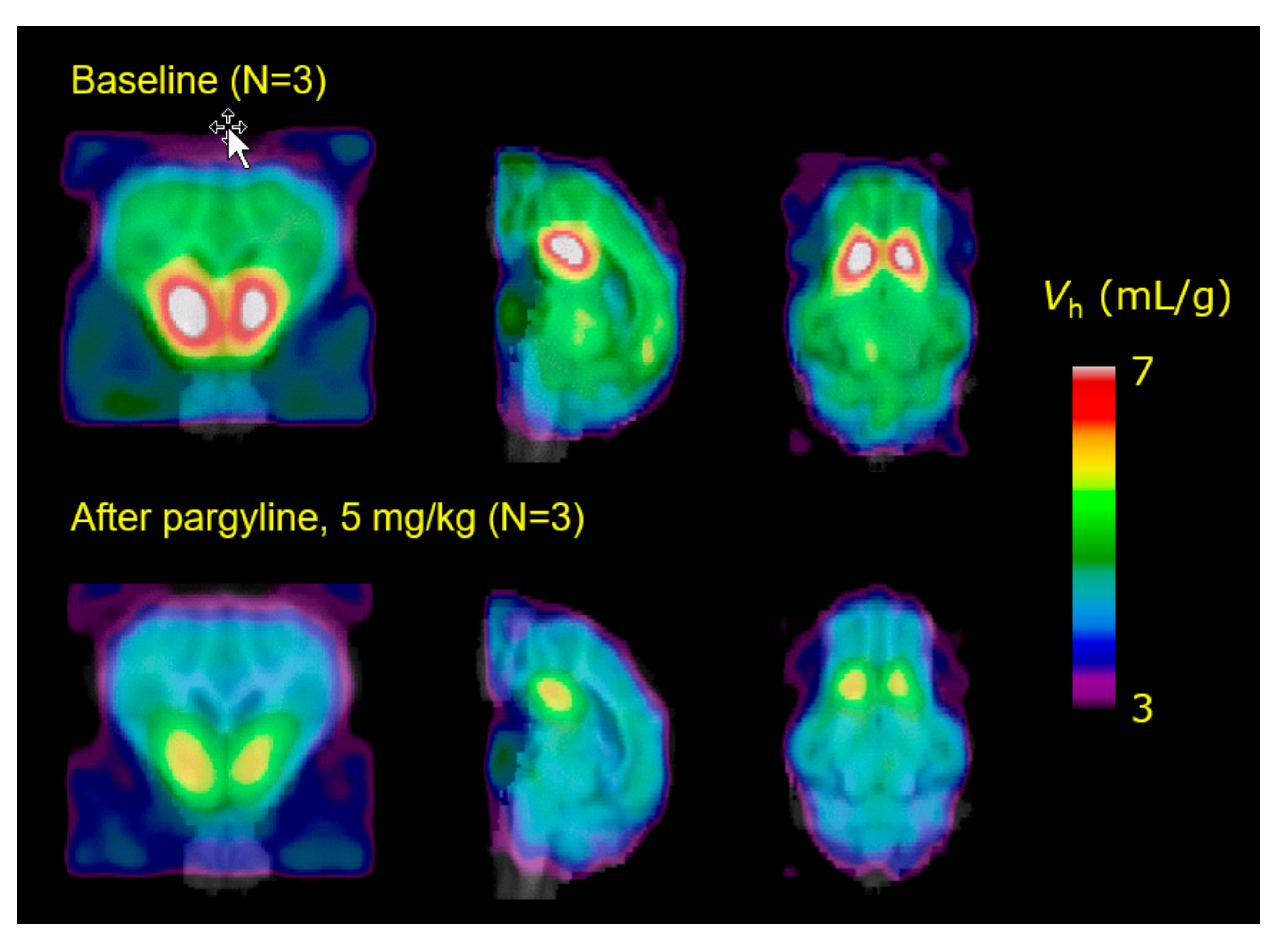 Molecules 26 02451 g007