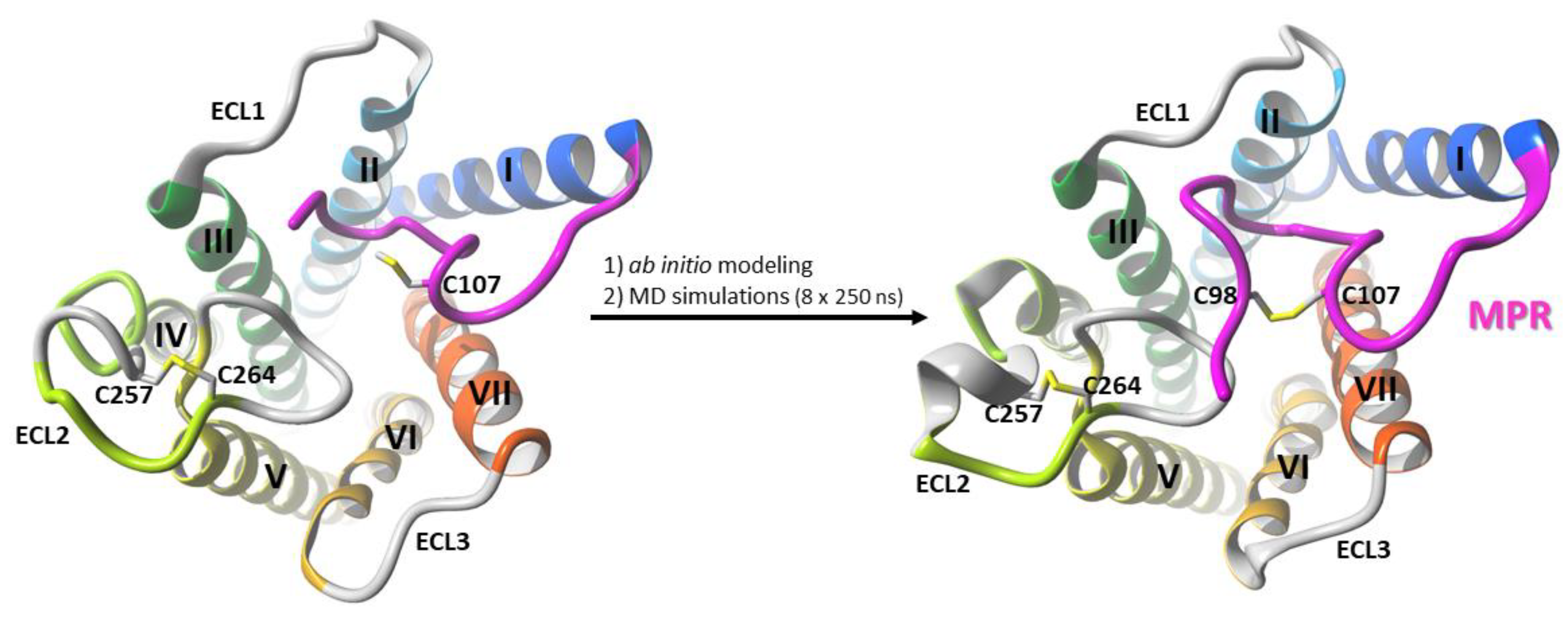 Molecules 26 02456 g006