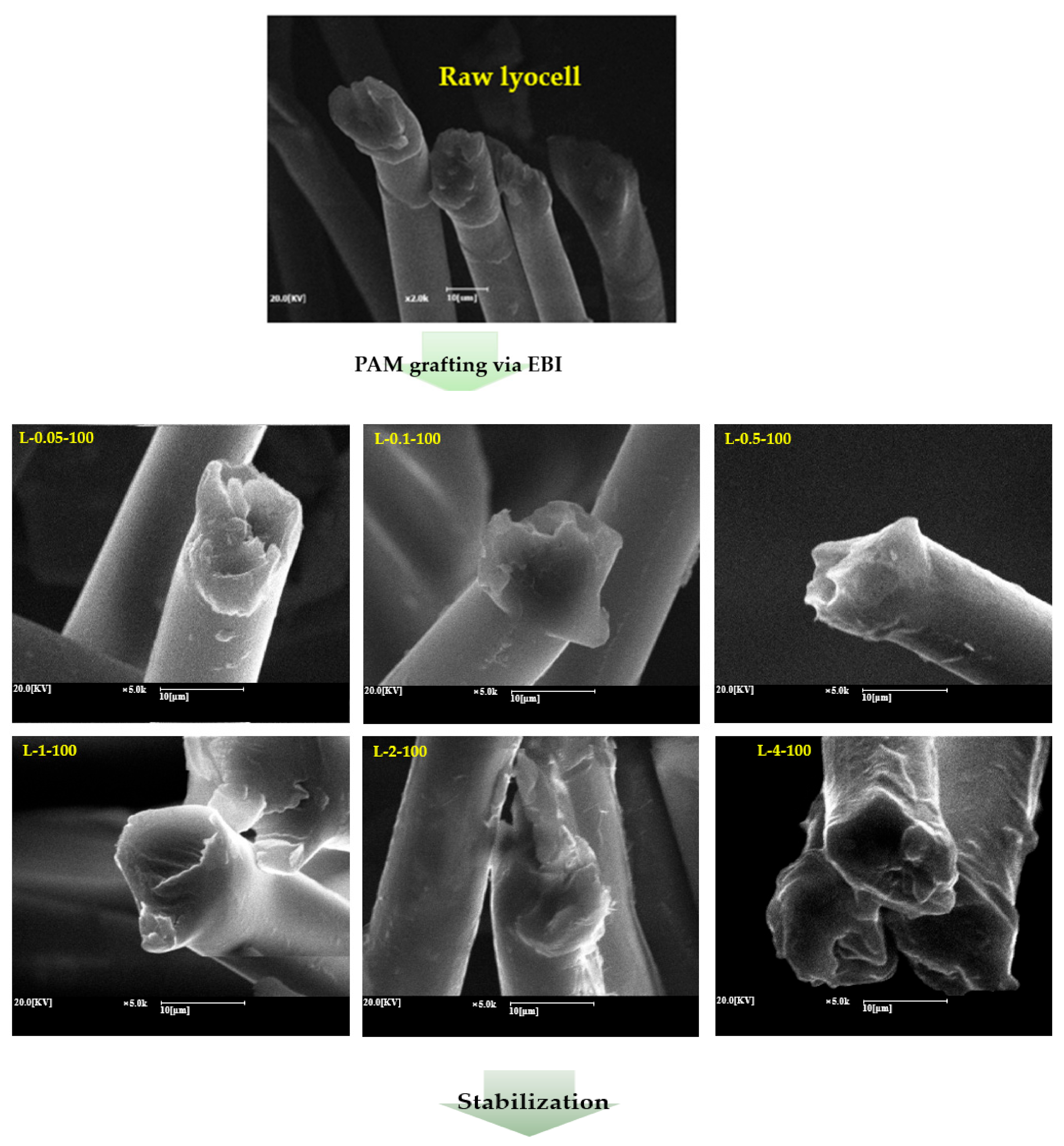 Molecules 26 02459 g004a Molecules 26 02459 g004a