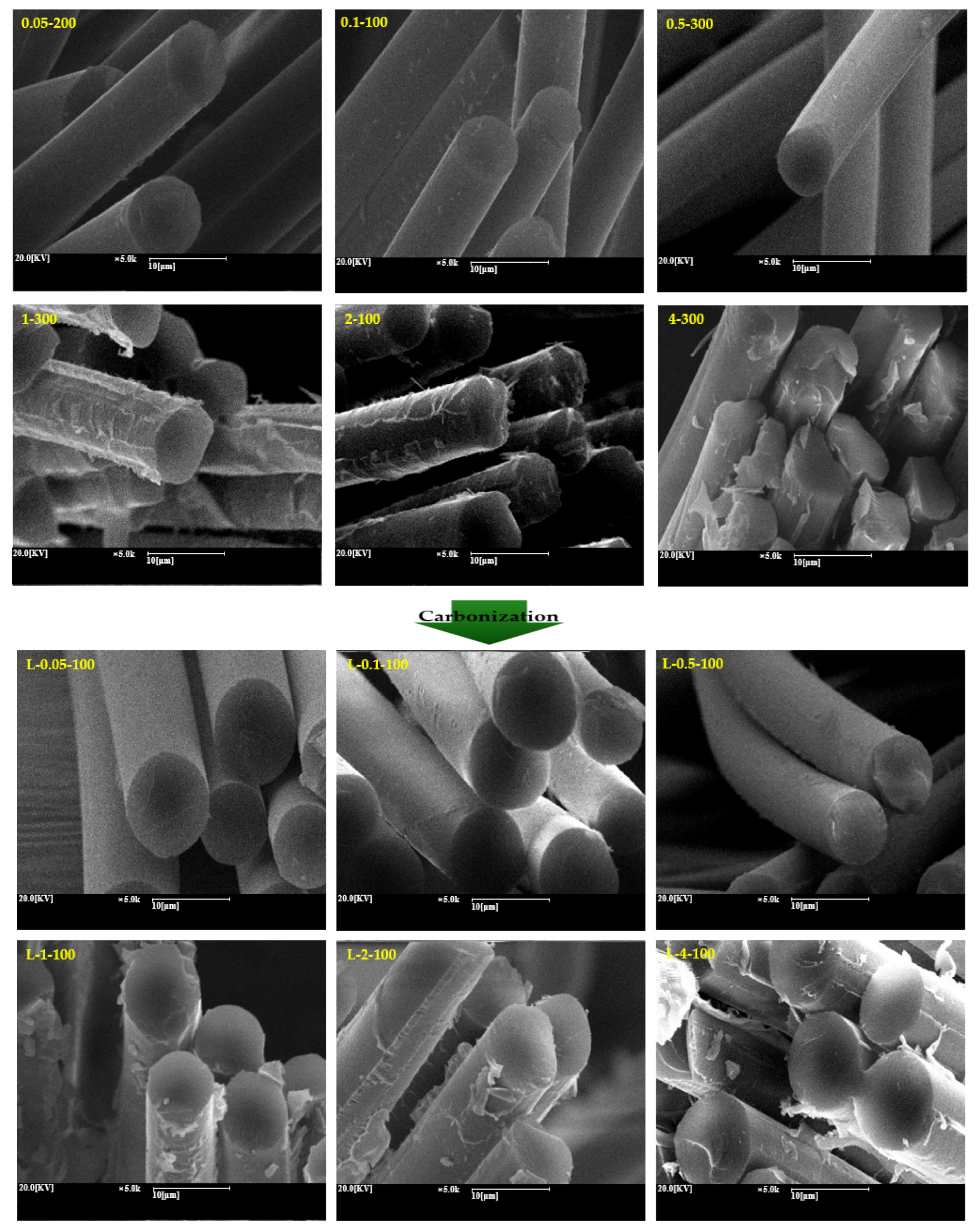 Molecules 26 02459 g004b Molecules 26 02459 g004b