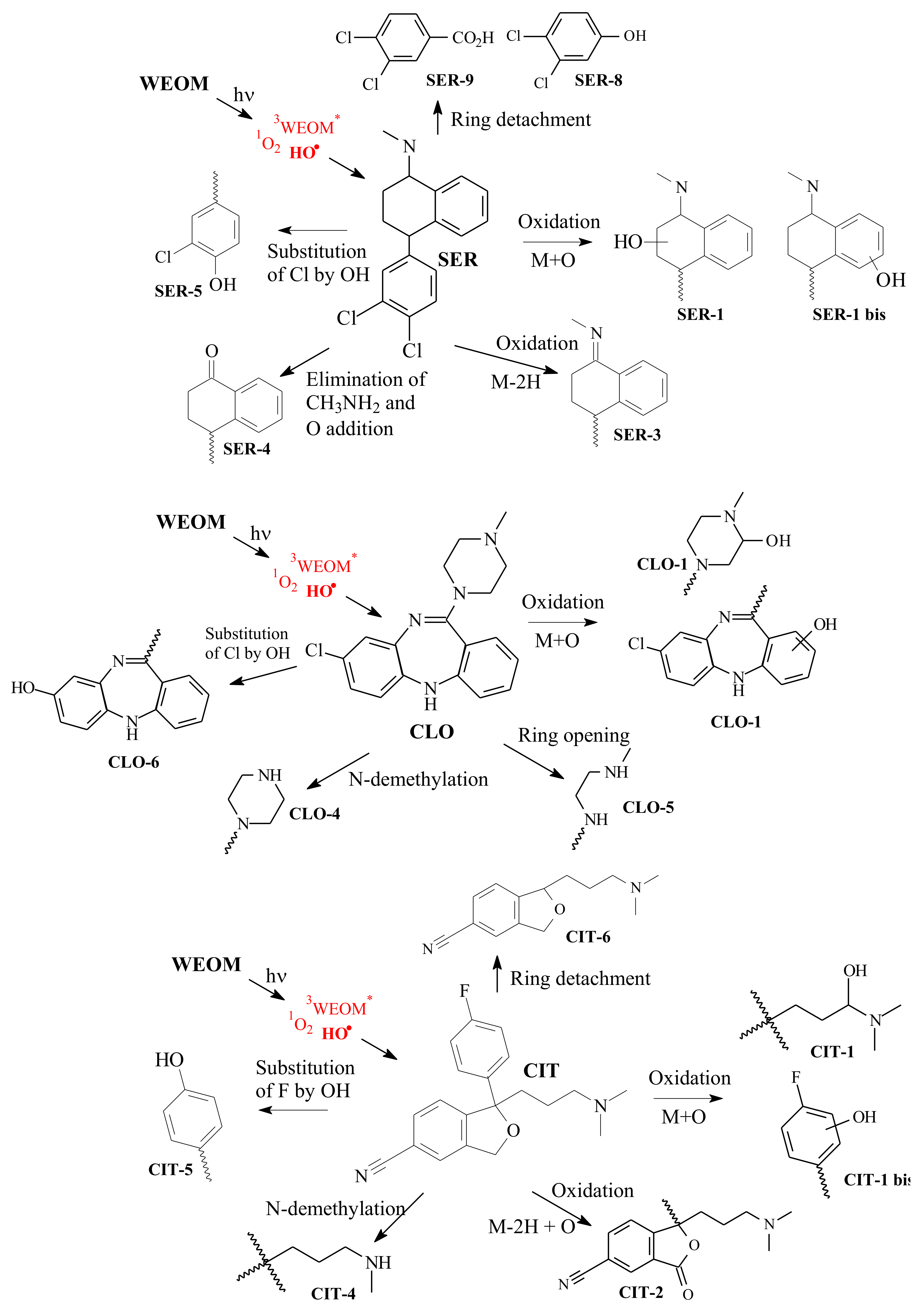 Molecules 26 02466 g004 Molecules 26 02466 g004