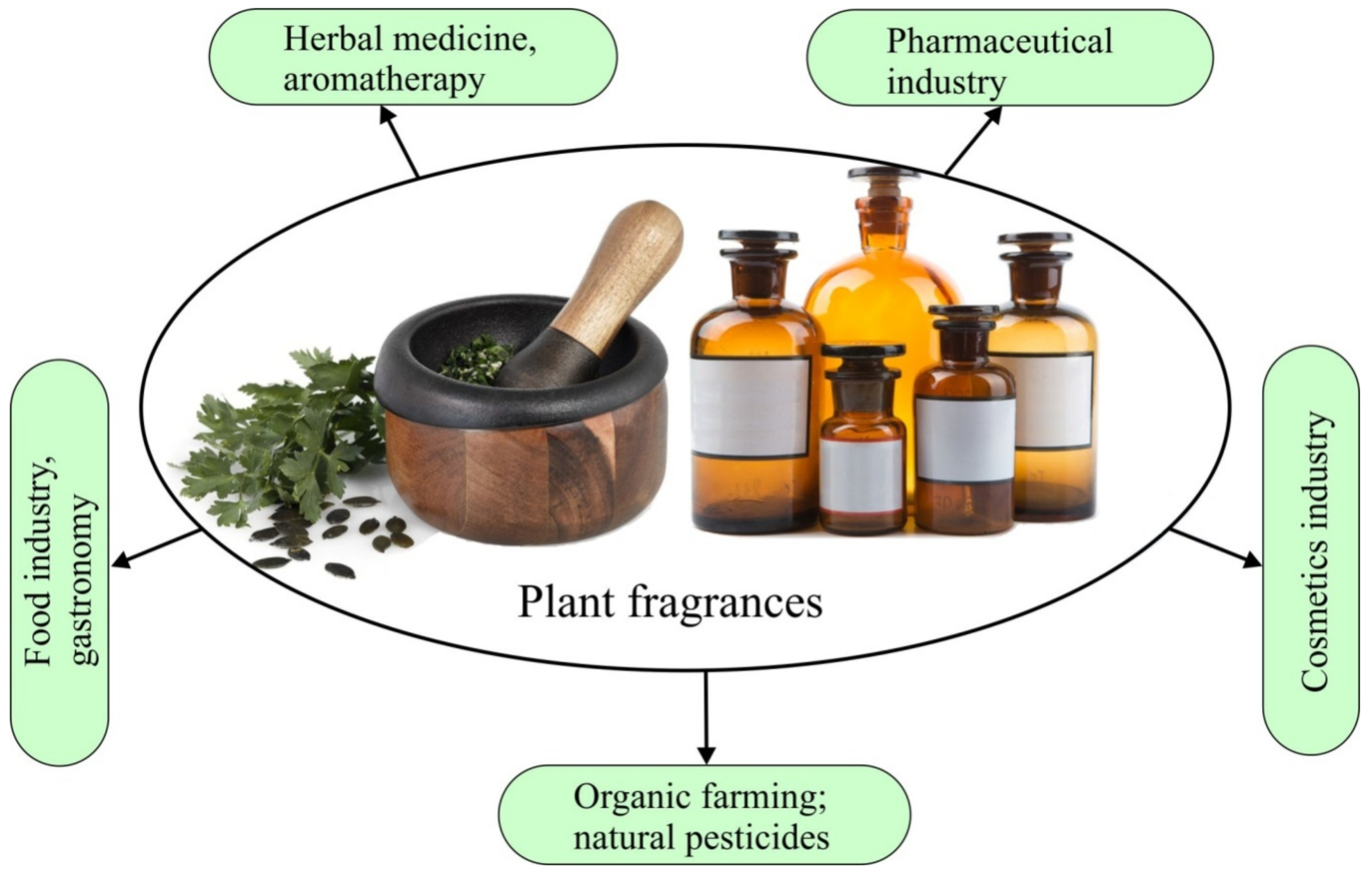 Molecules 26 02473 g001