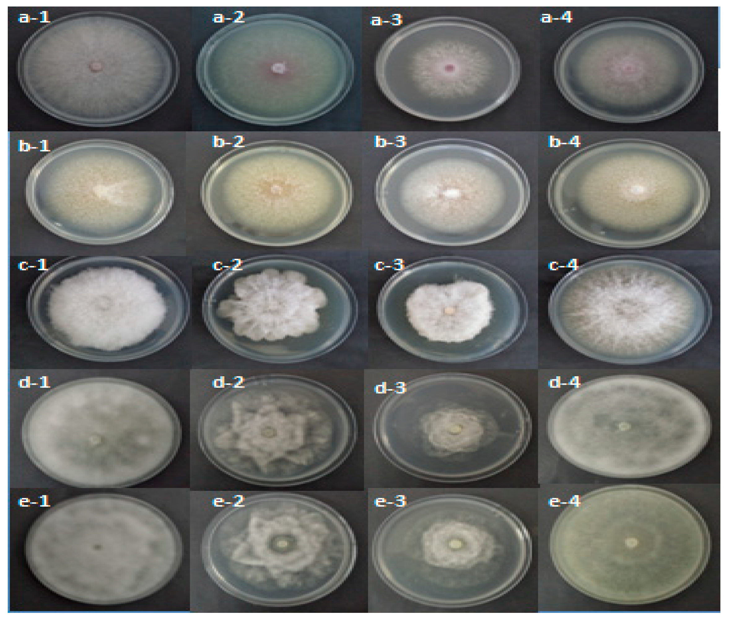 Molecules 26 02479 g001