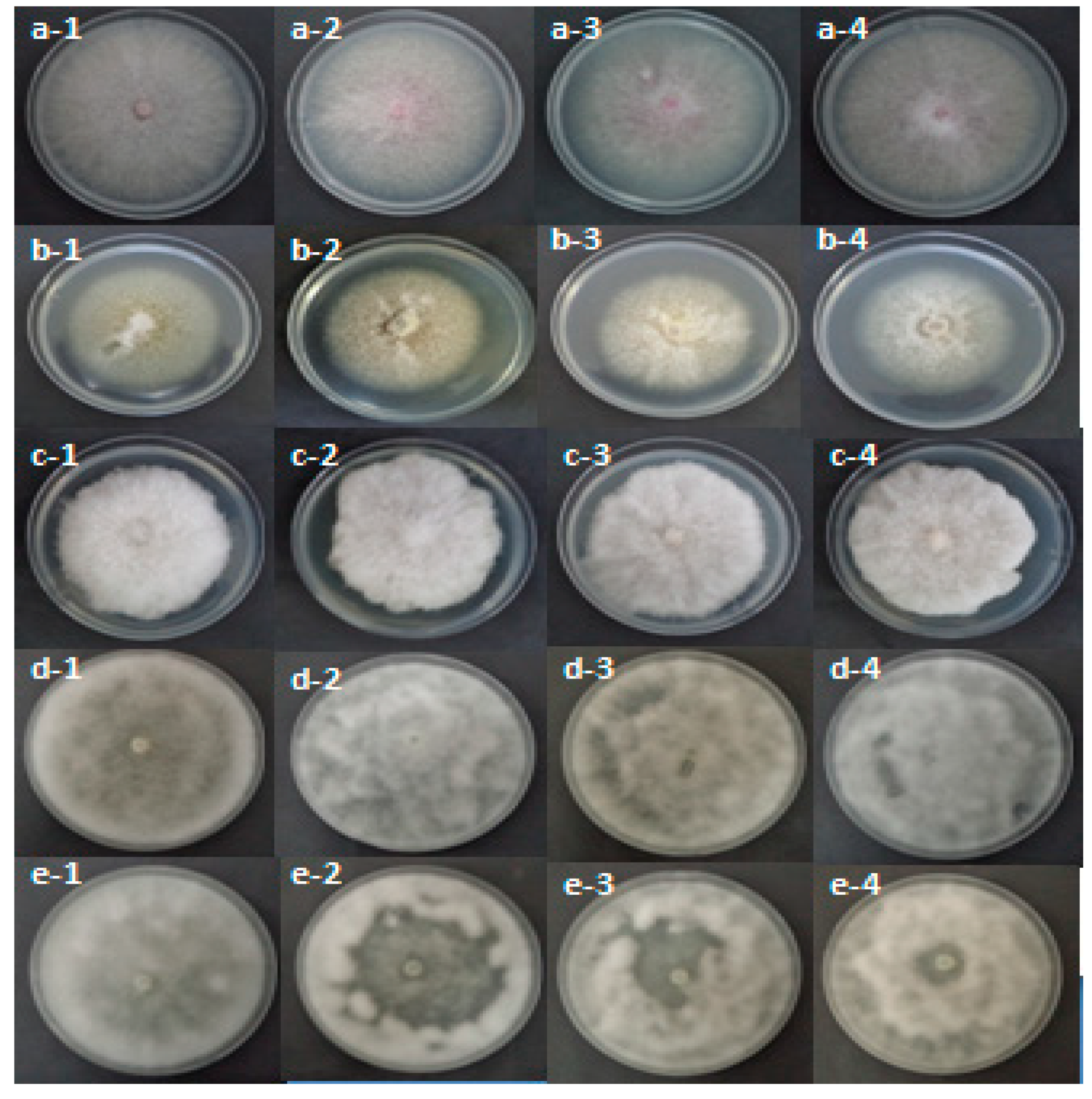Molecules 26 02479 g002