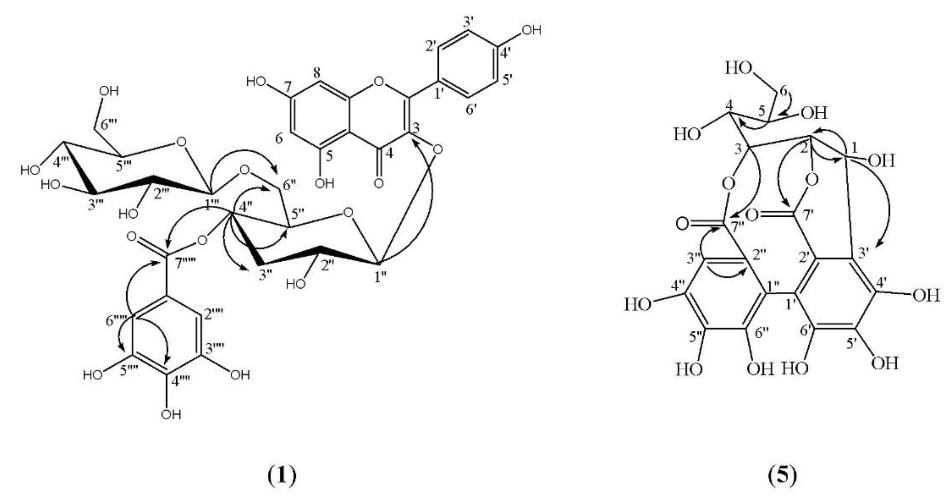 Molecules 26 02481 g002