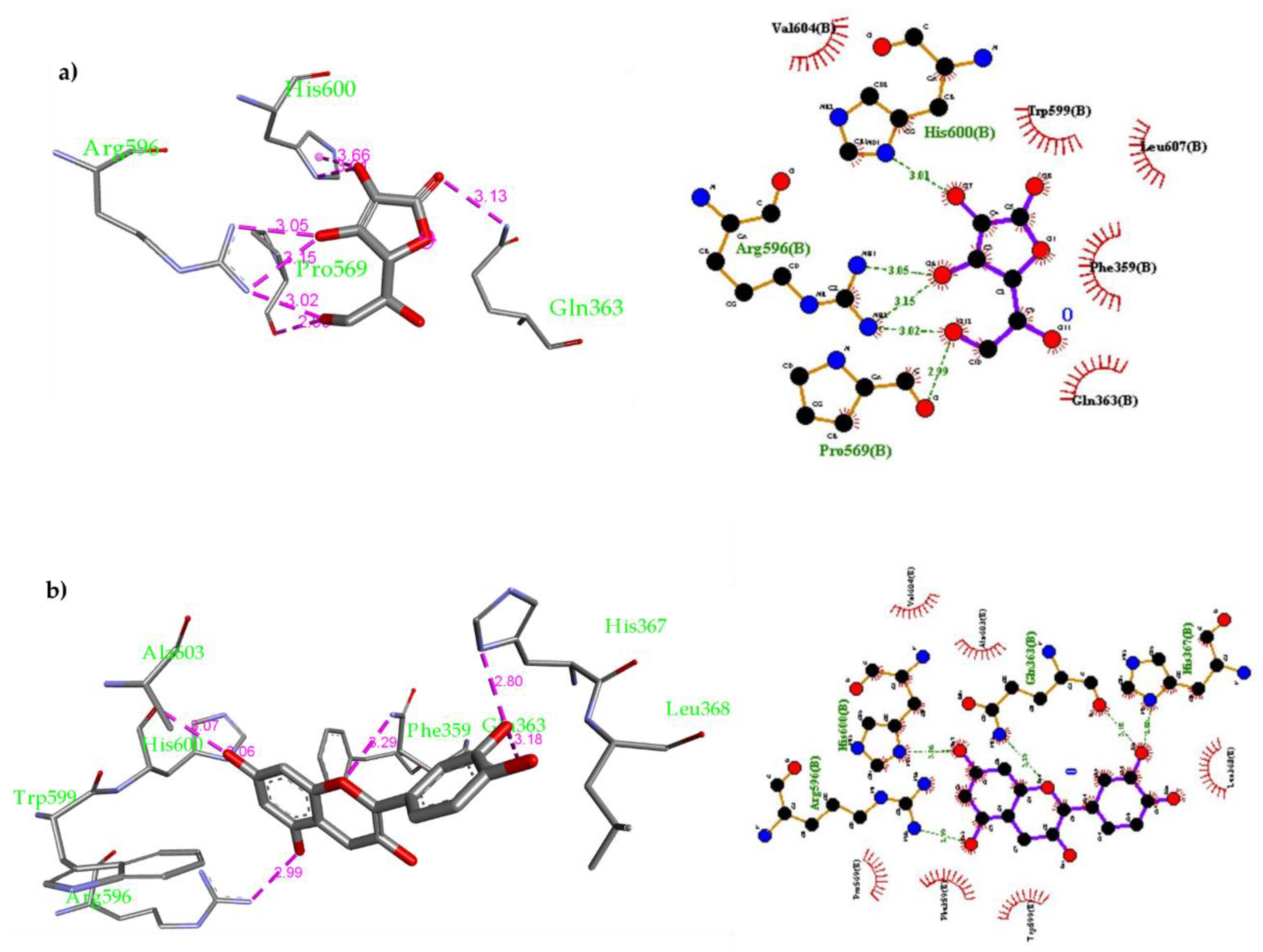 Molecules 26 02481 g003