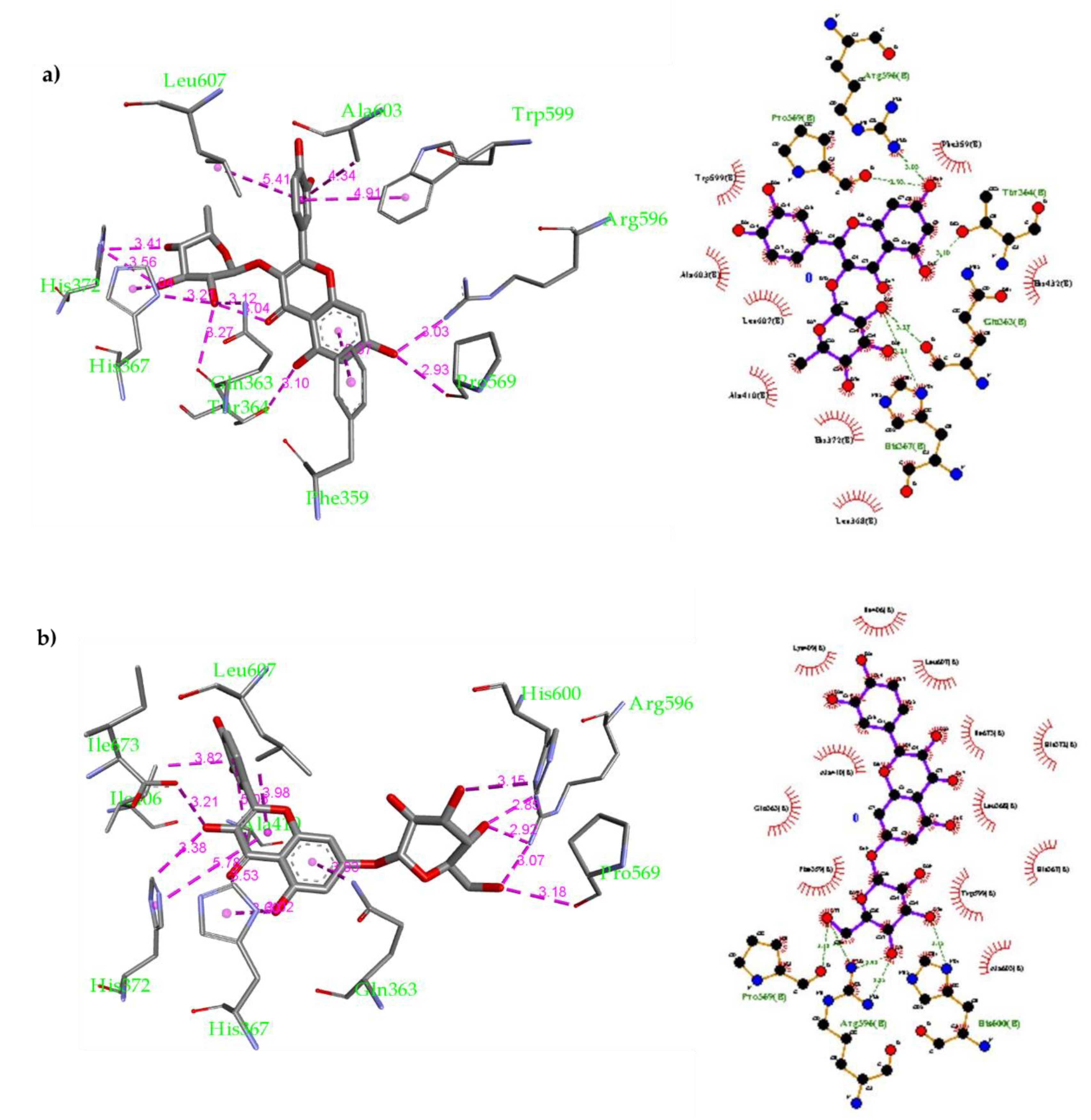 Molecules 26 02481 g005
