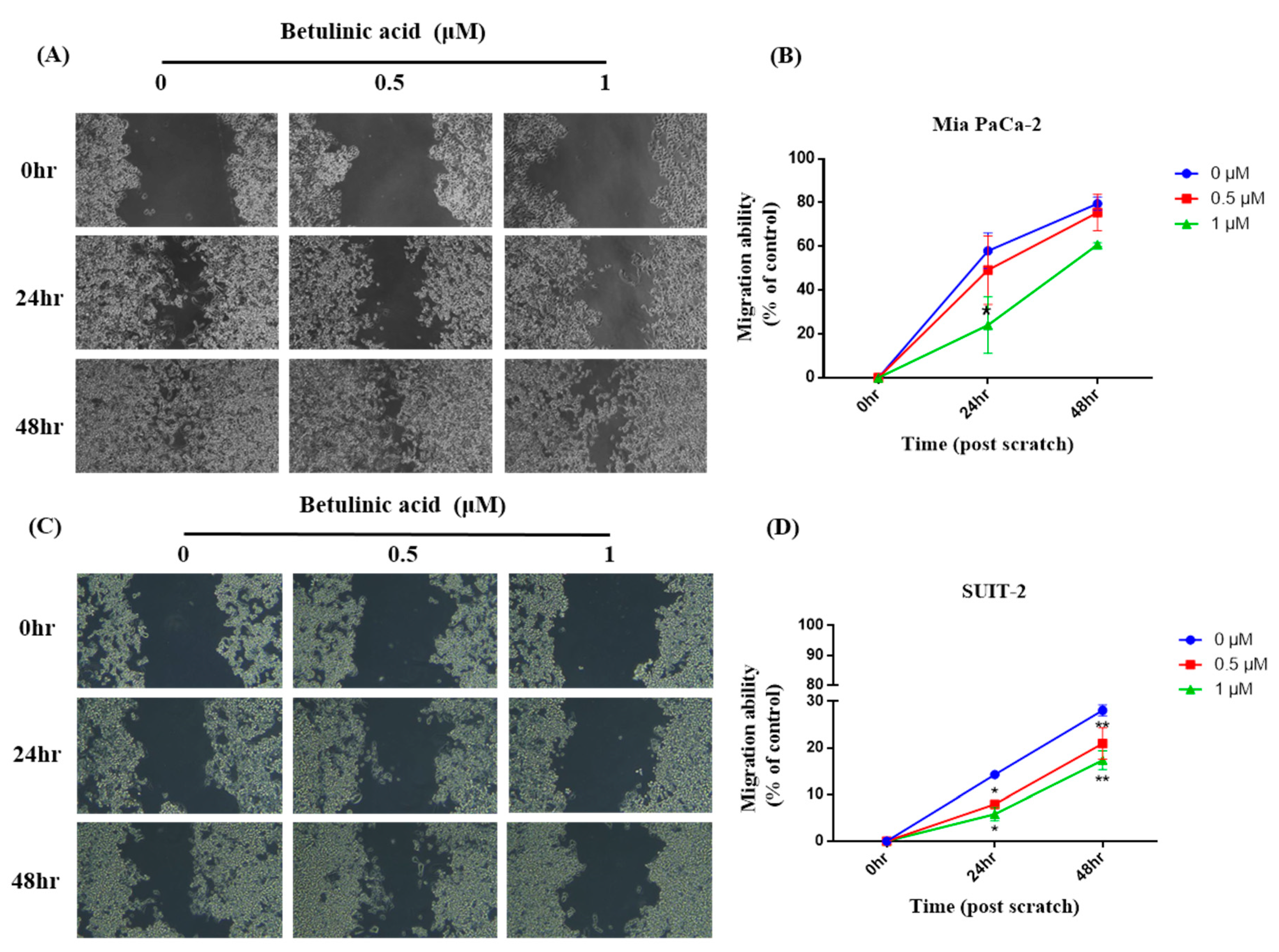 Molecules 26 02482 g001