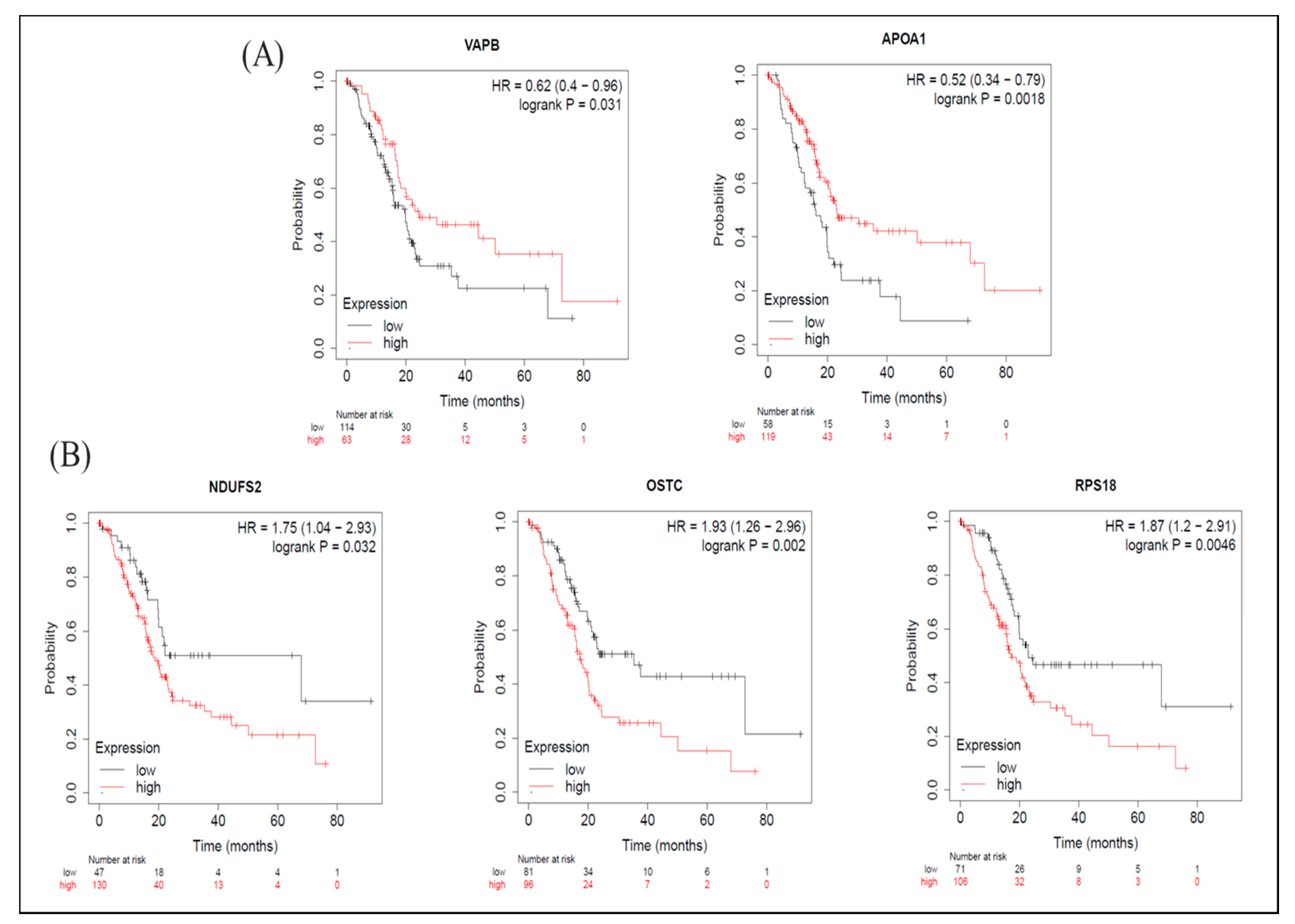 Molecules 26 02482 g006