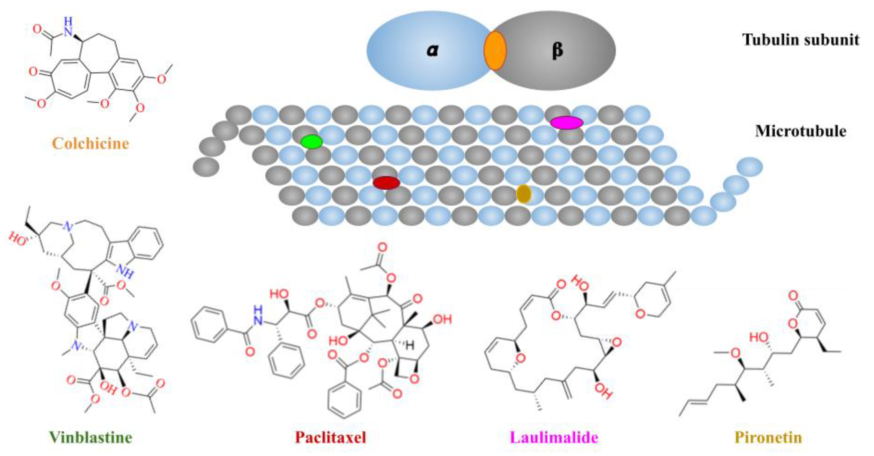 Molecules 26 02483 g001