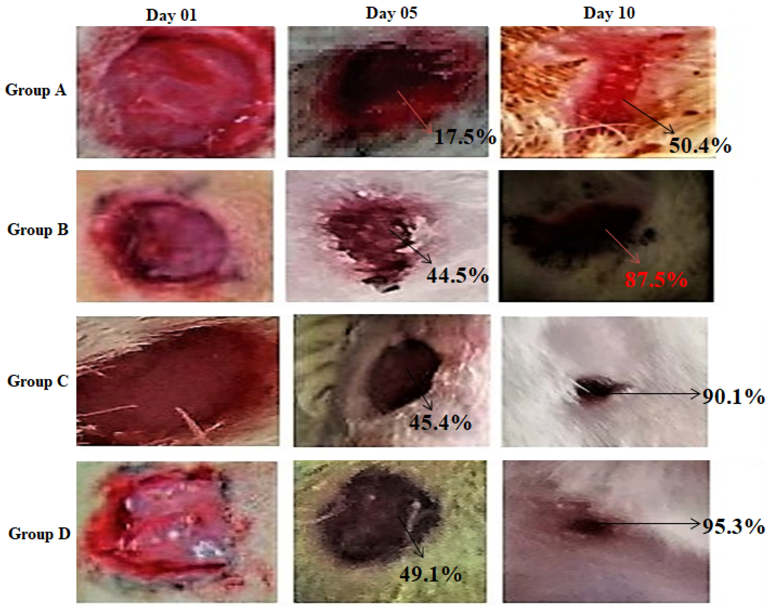 Molecules 26 02491 g008