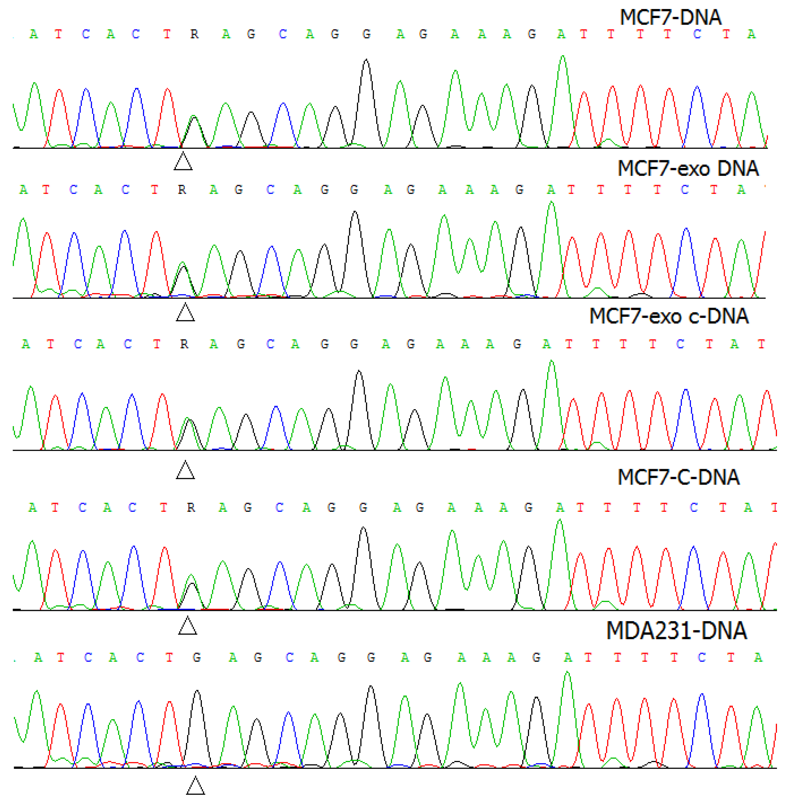 Molecules 26 02499 g002