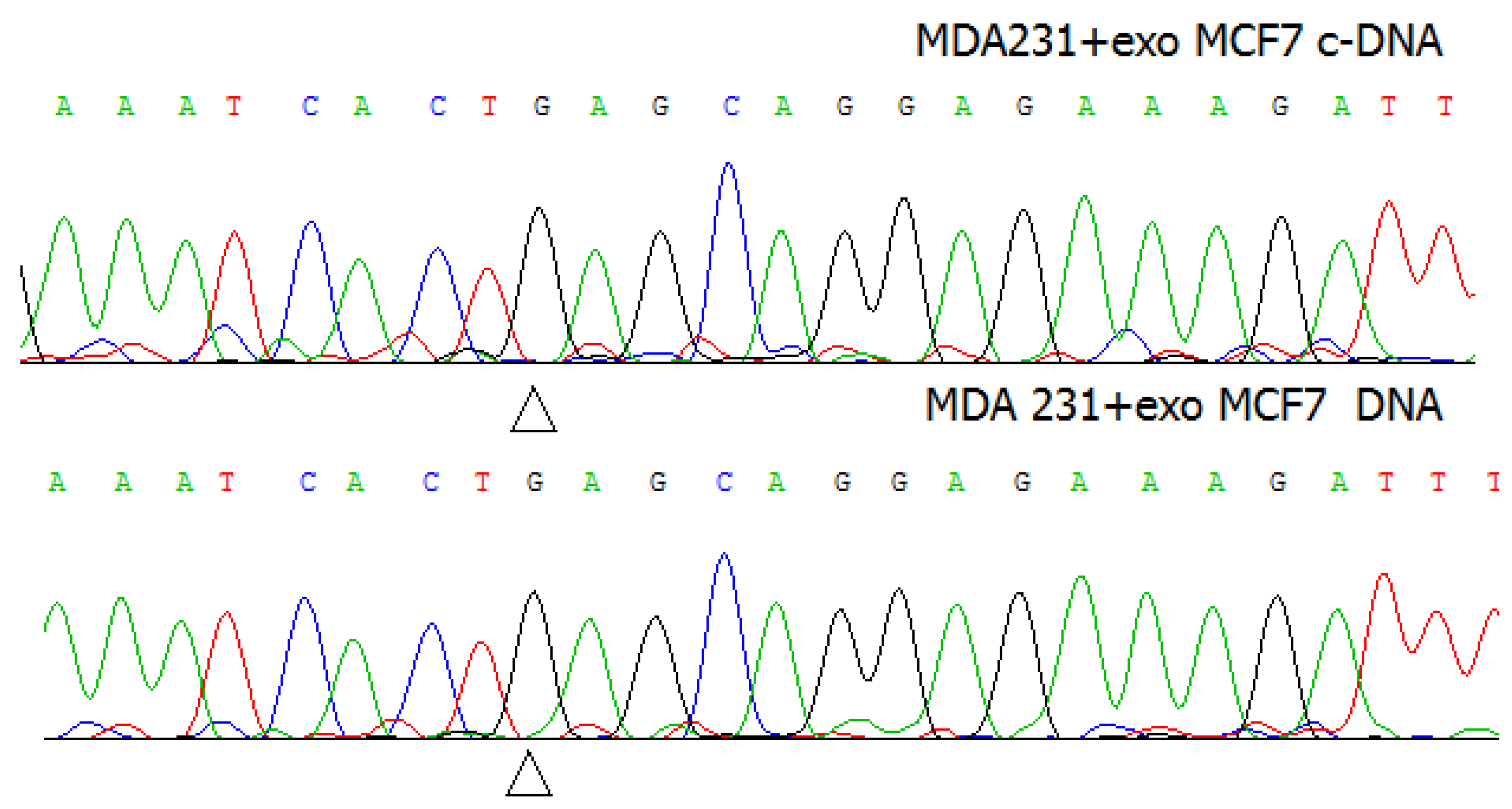 Molecules 26 02499 g003
