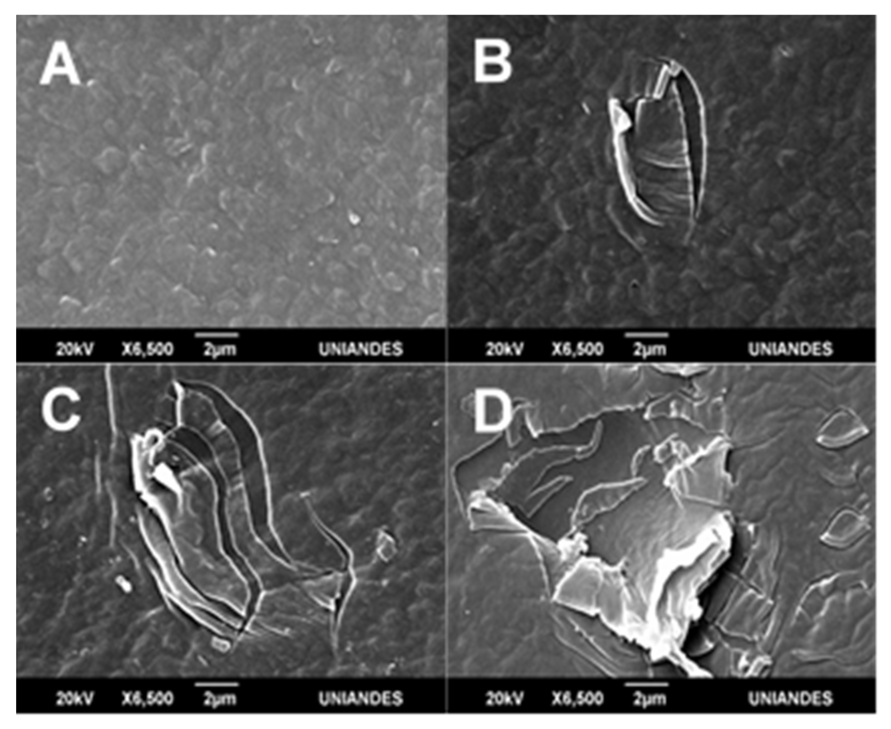 Molecules 26 02513 g004