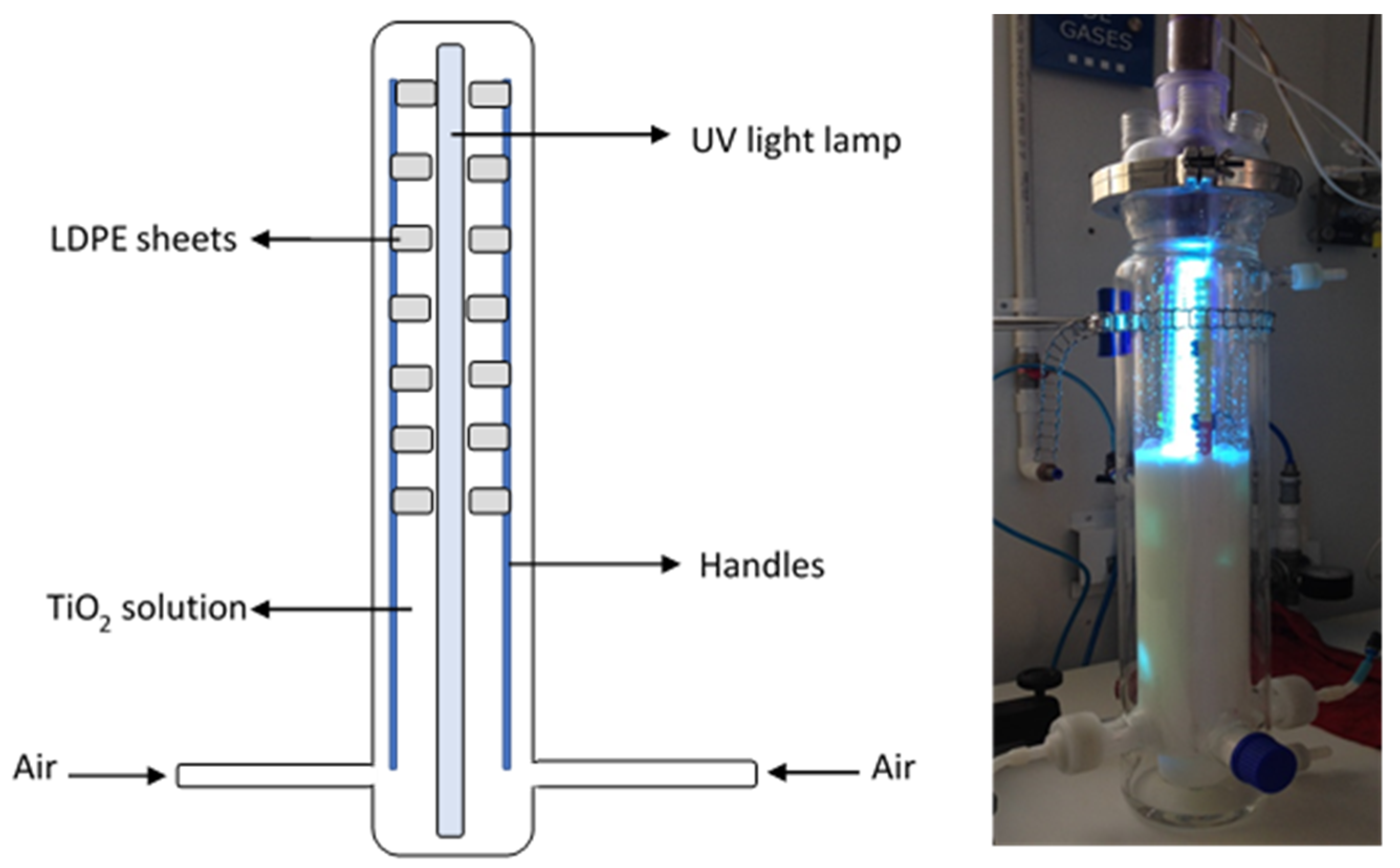 Molecules 26 02513 g010