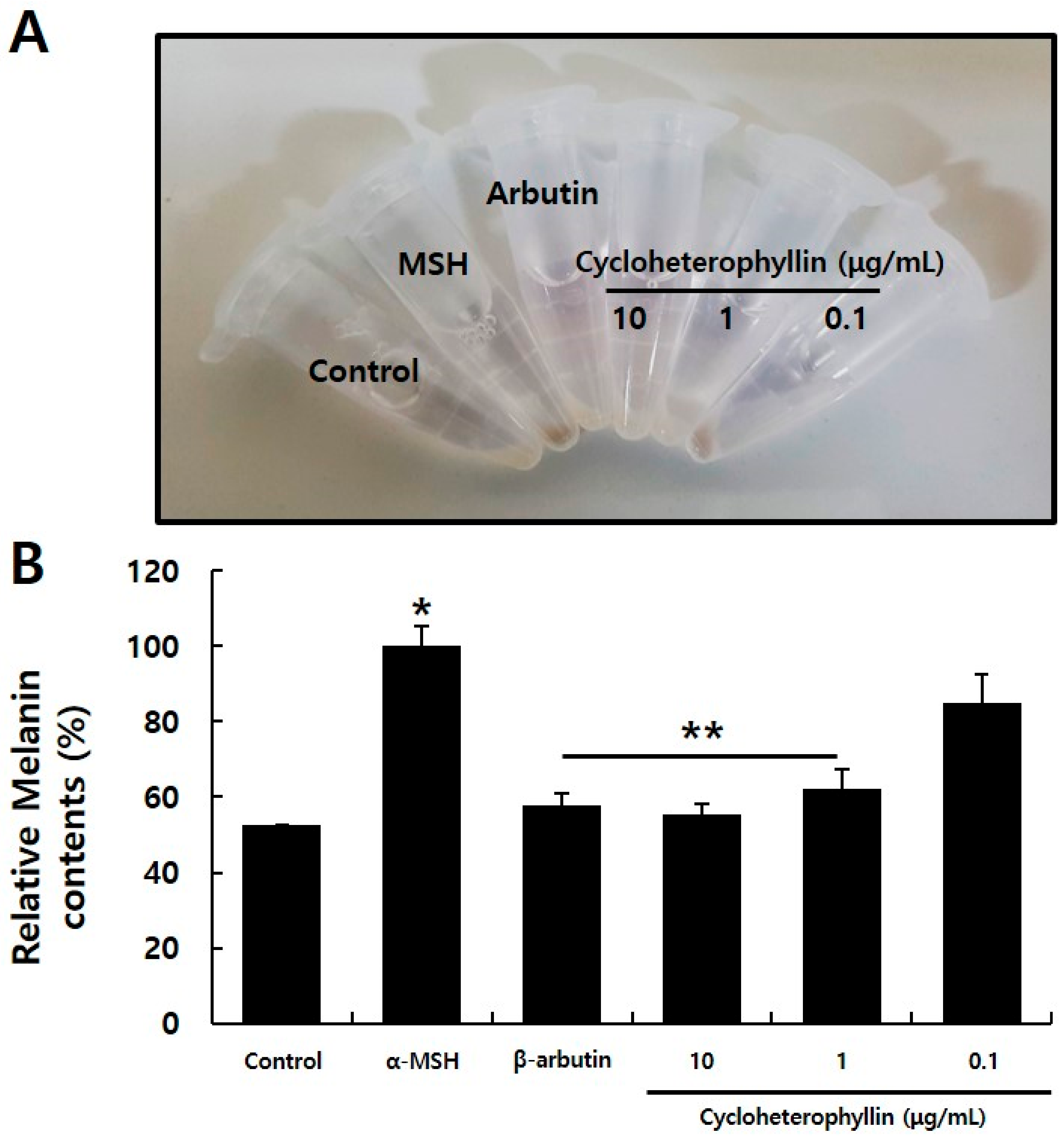 Molecules 26 02526 g004 Molecules 26 02526 g004