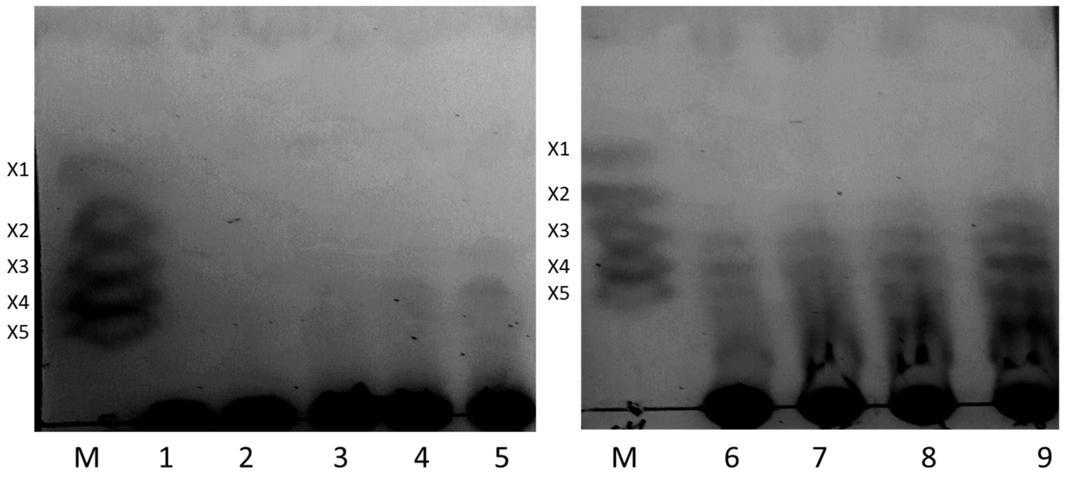 Molecules 26 02527 g006