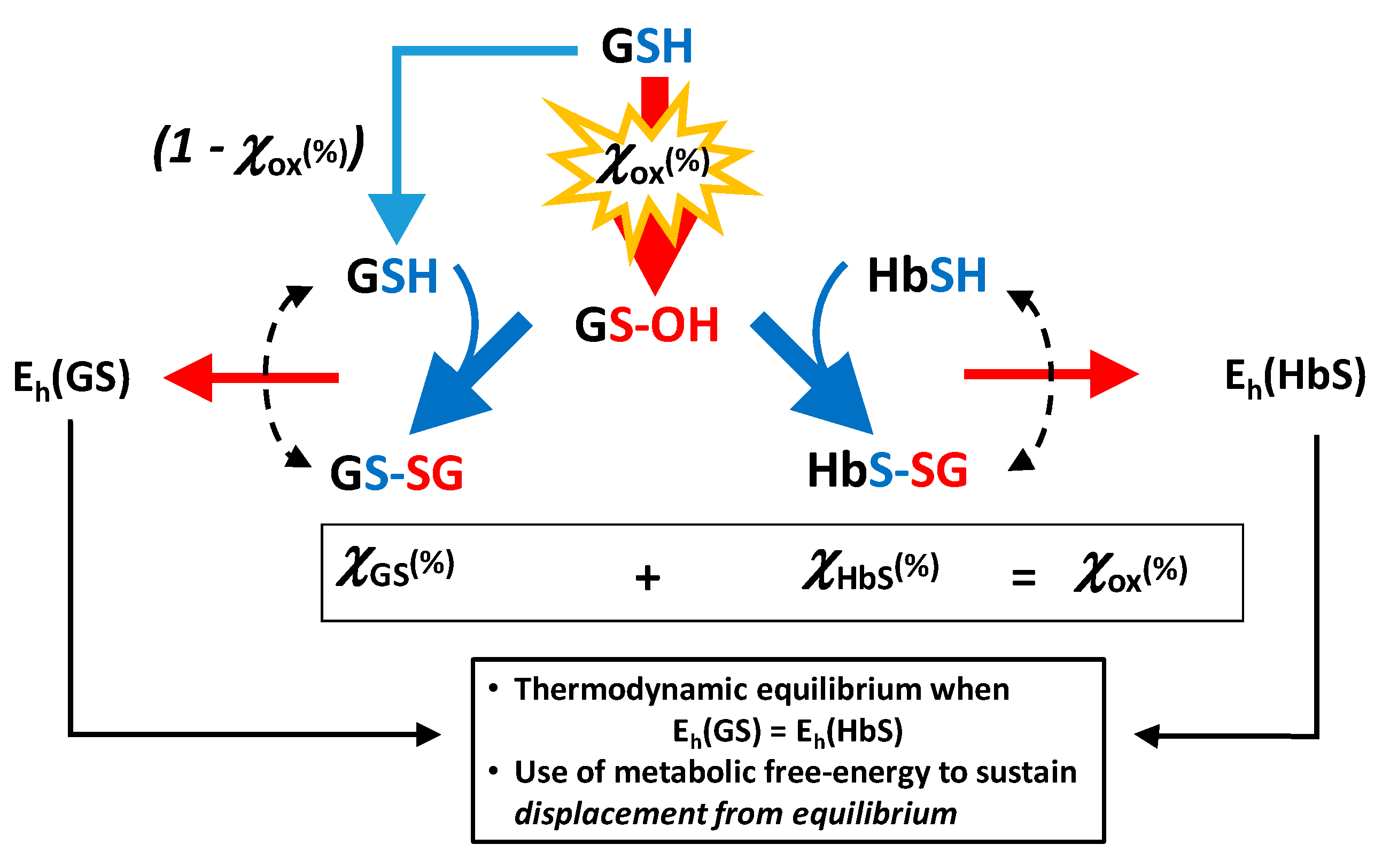 Molecules 26 02528 g006
