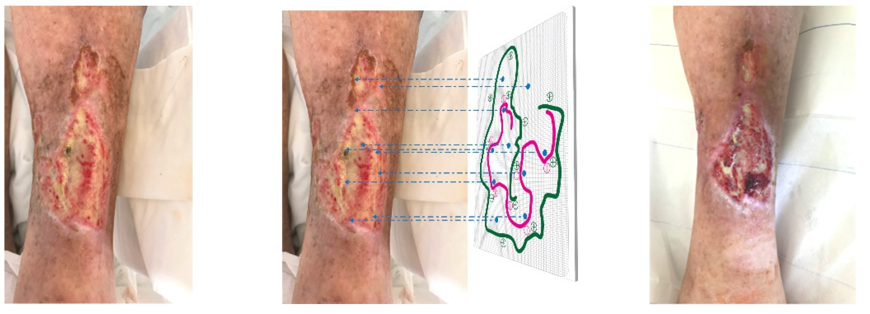 Molecules 26 02535 g002 Molecules 26 02535 g002