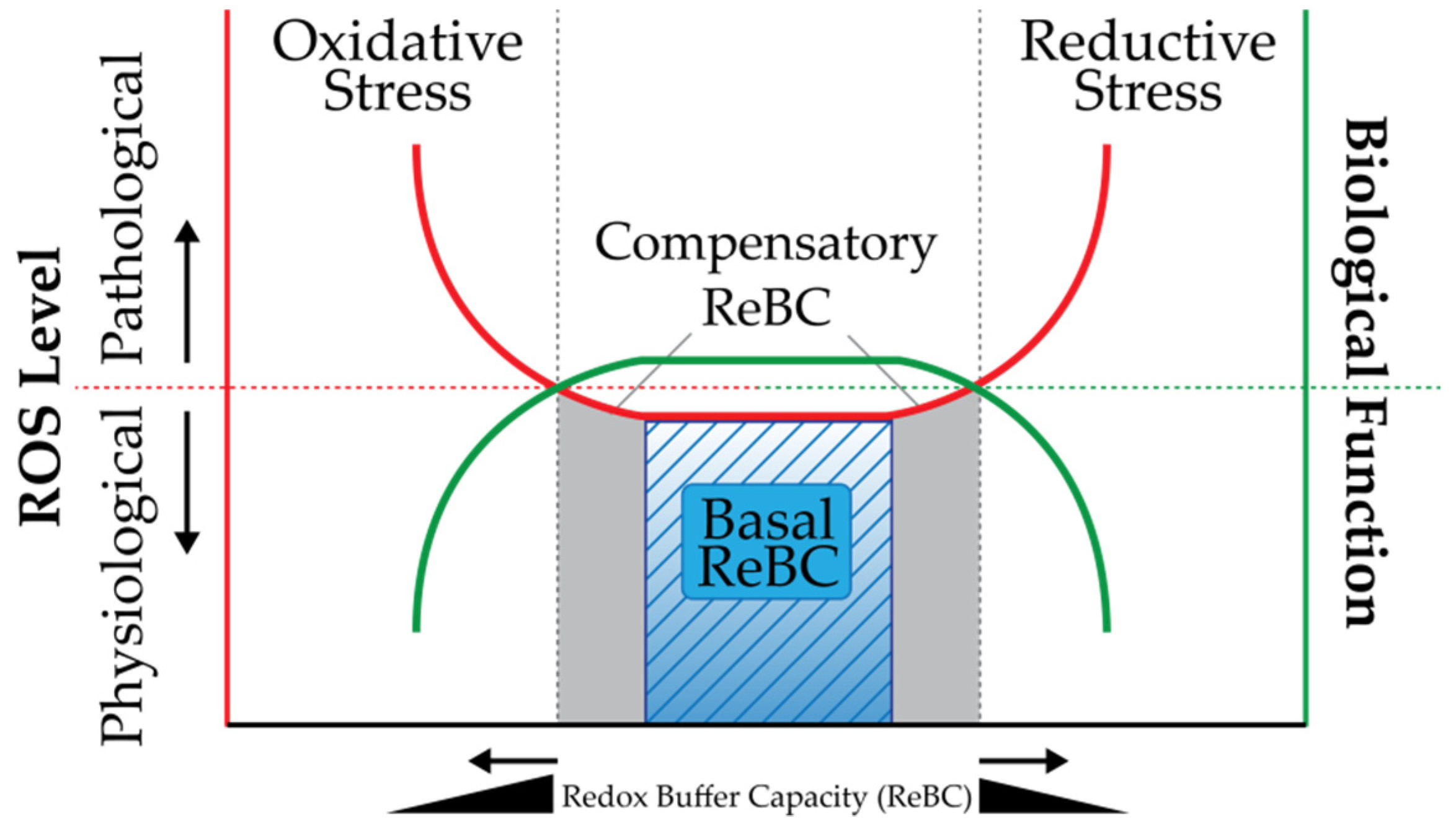 Molecules 26 02535 g003 Molecules 26 02535 g003