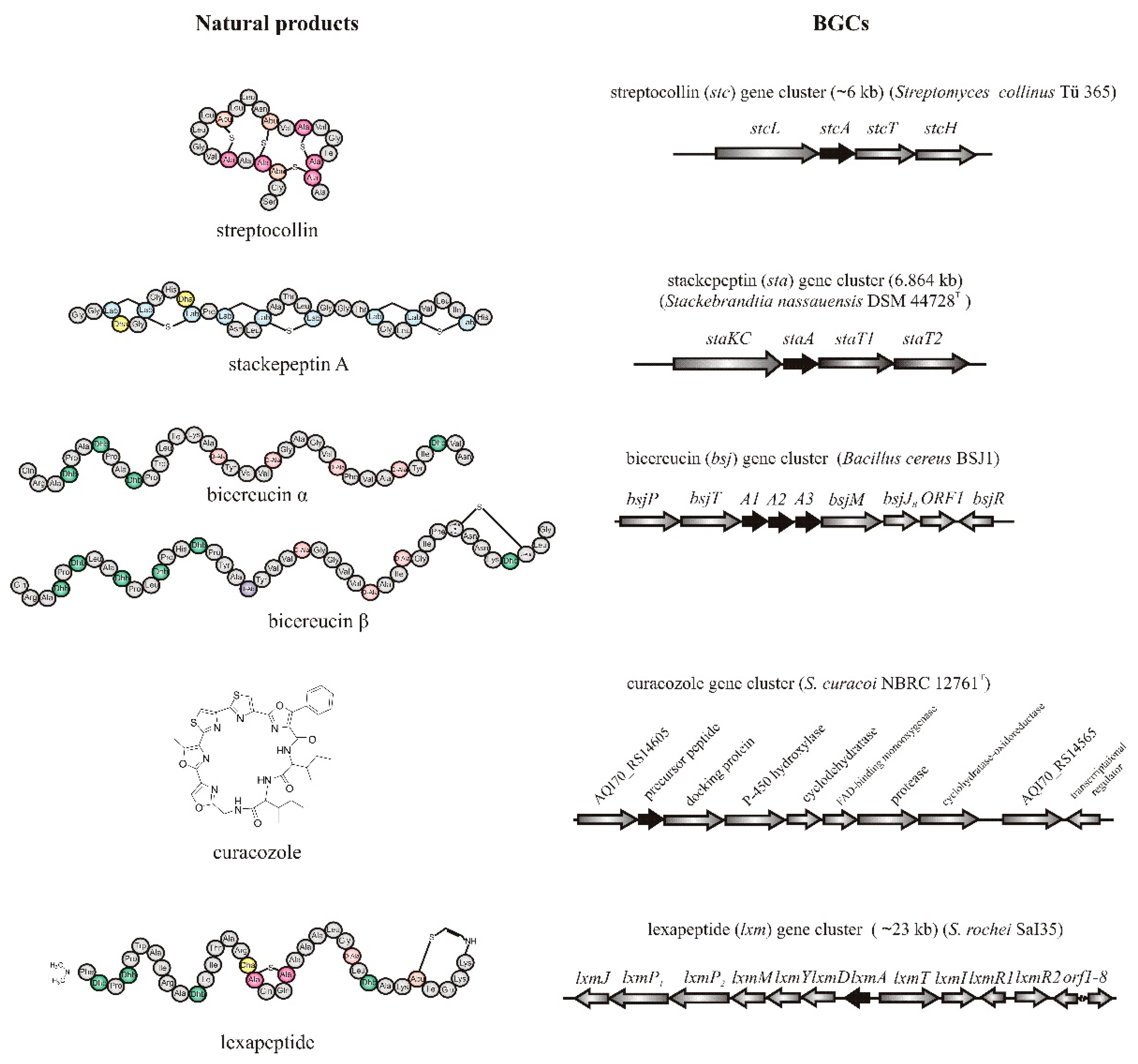 Molecules 26 02542 g001 Molecules 26 02542 g001