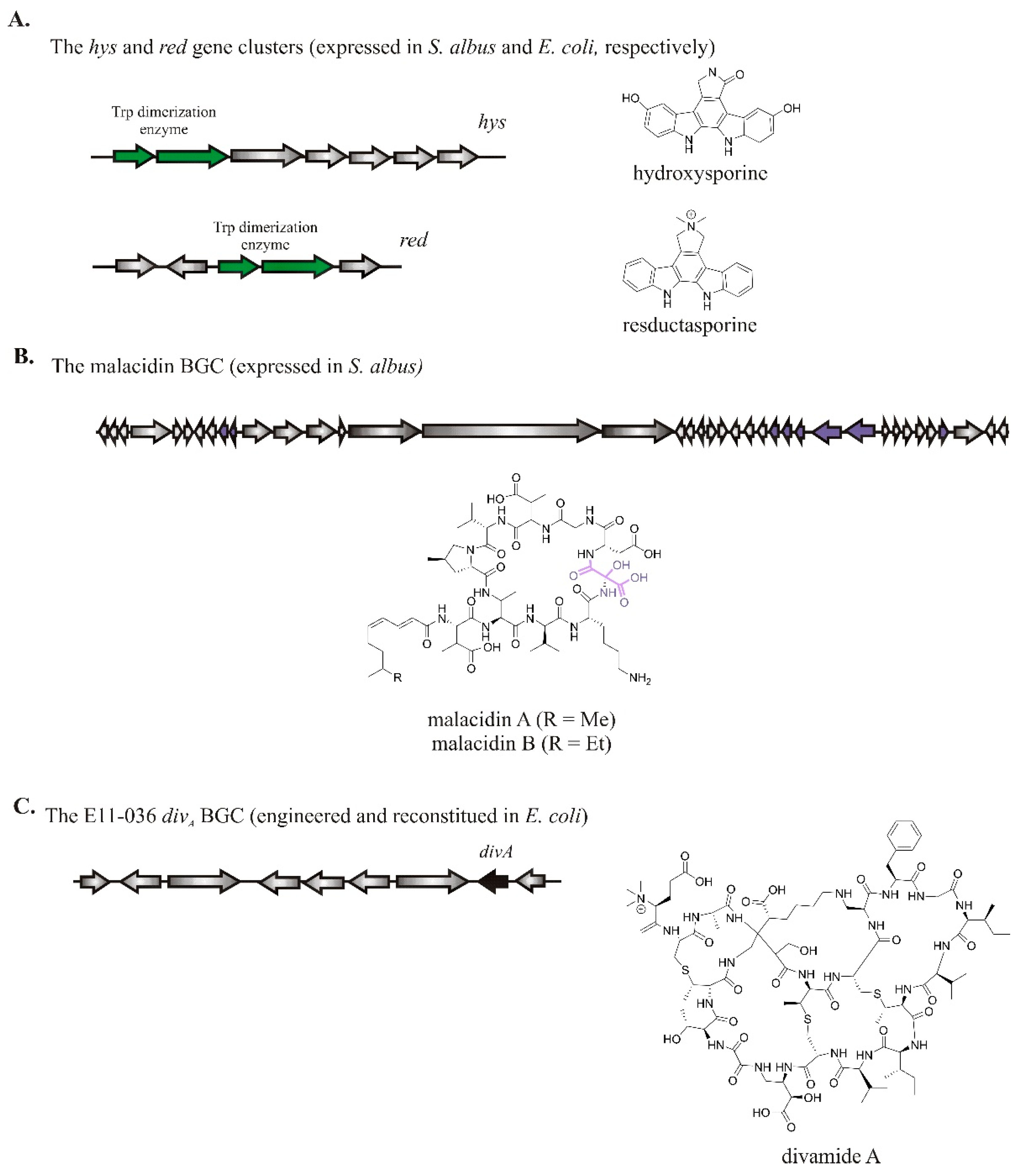 Molecules 26 02542 g003 Molecules 26 02542 g003