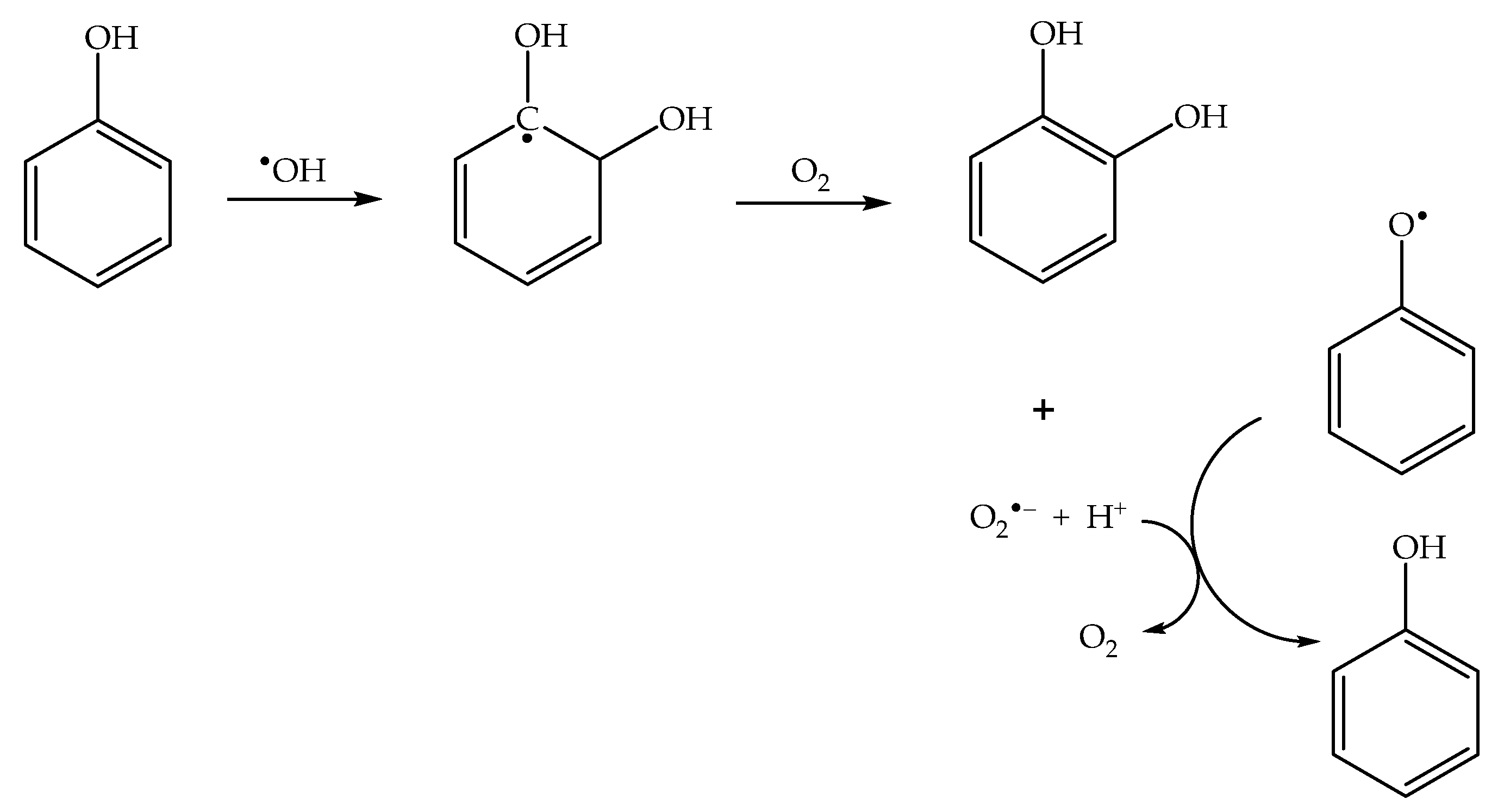 Molecules 26 02550 sch004