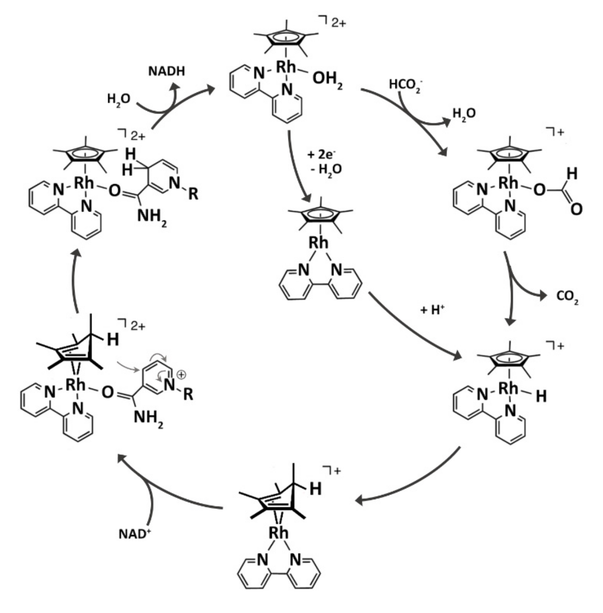 Molecules 26 02553 g004