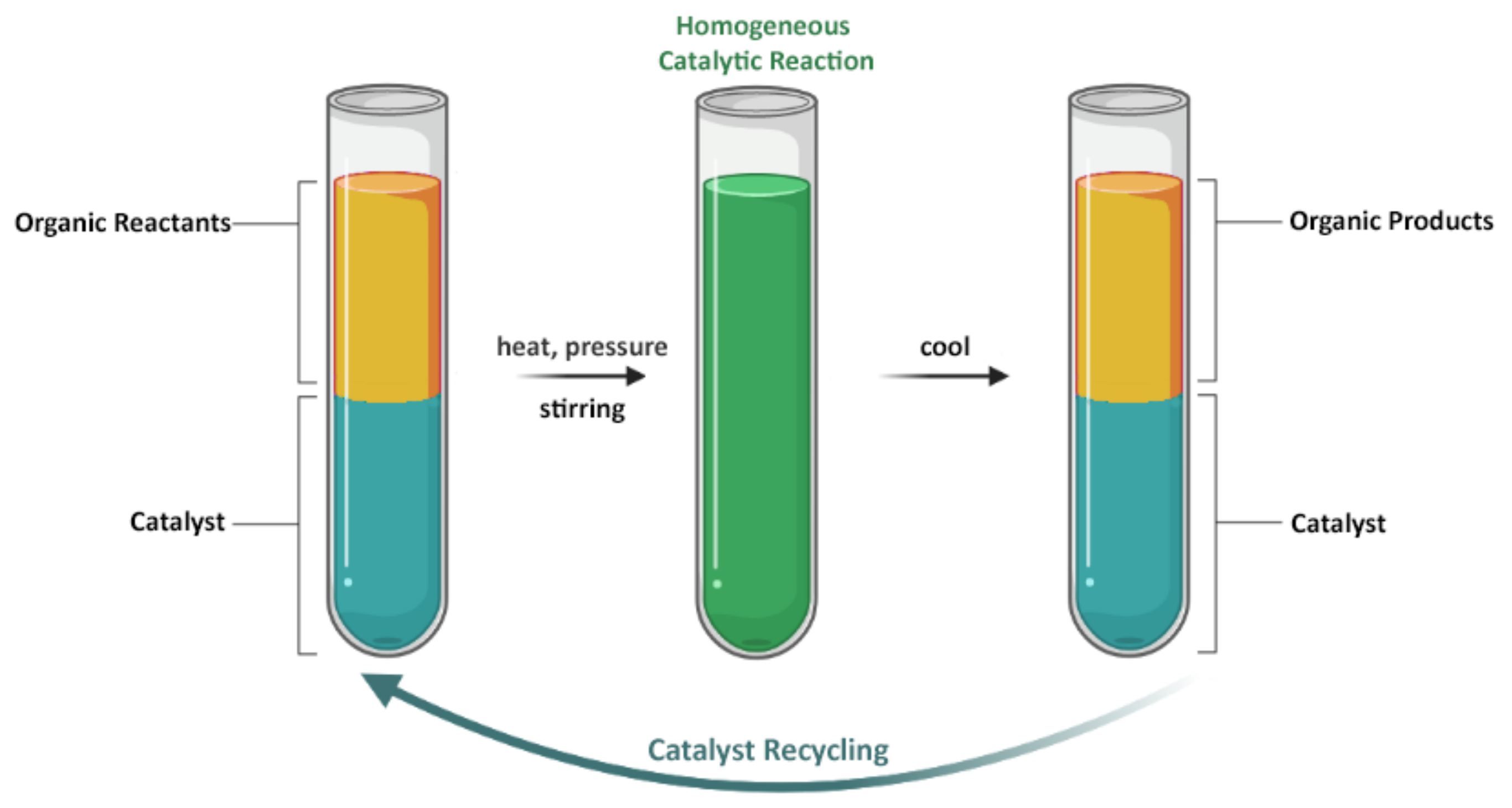 Molecules 26 02553 sch004