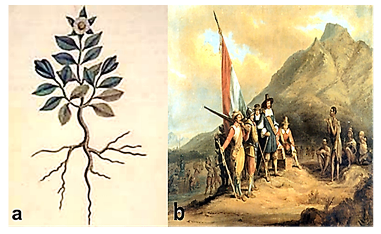 Molecules 26 02557 g001