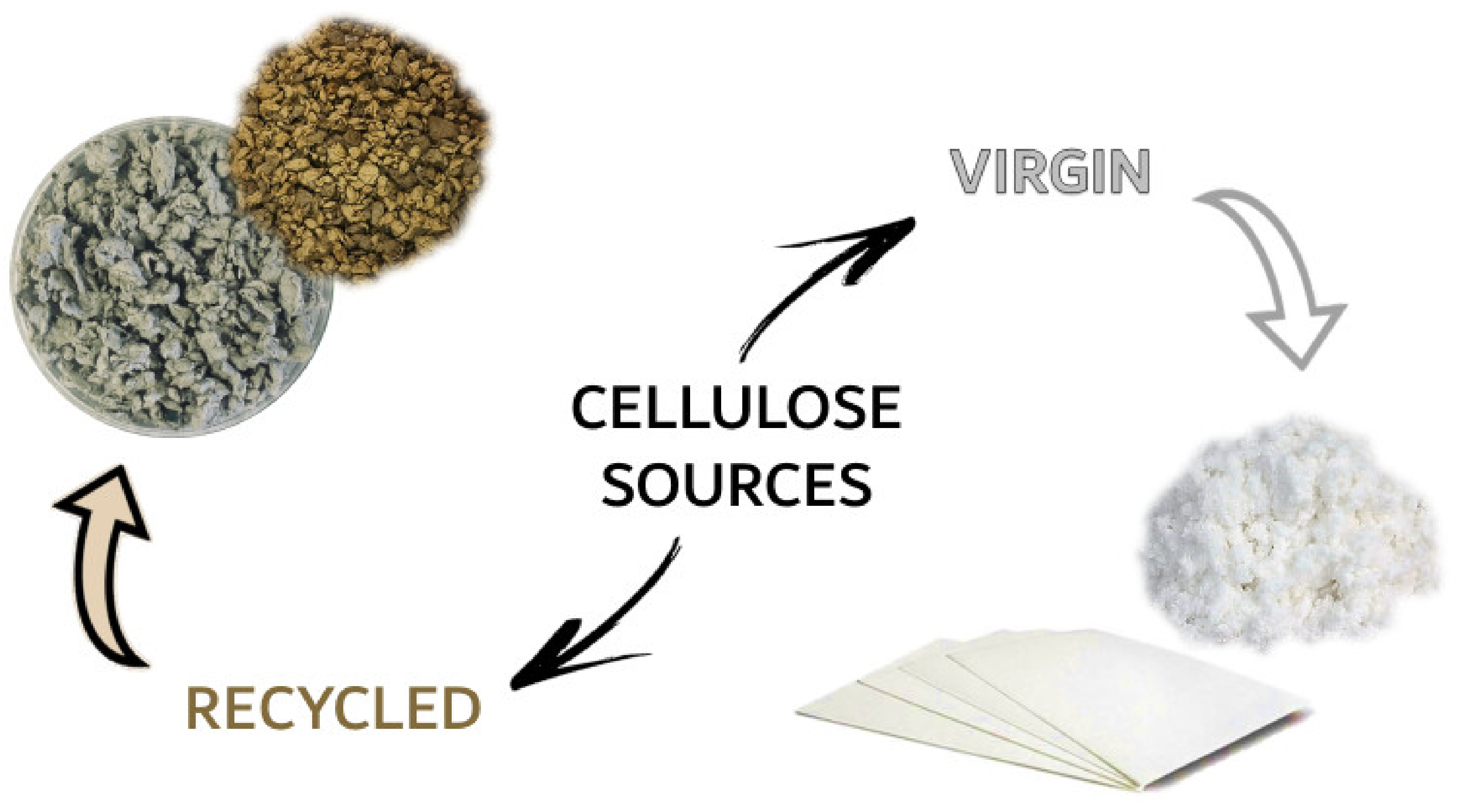 Molecules 26 02558 g001