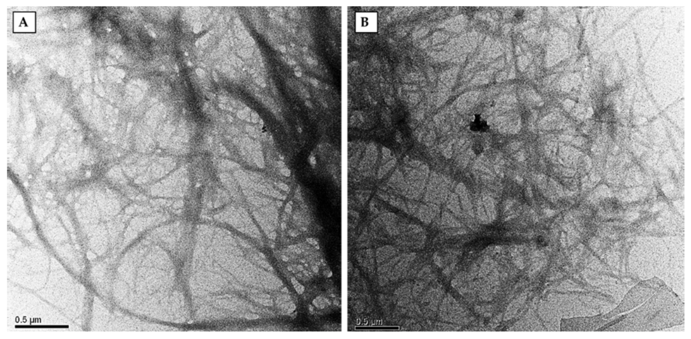 Molecules 26 02558 g002a