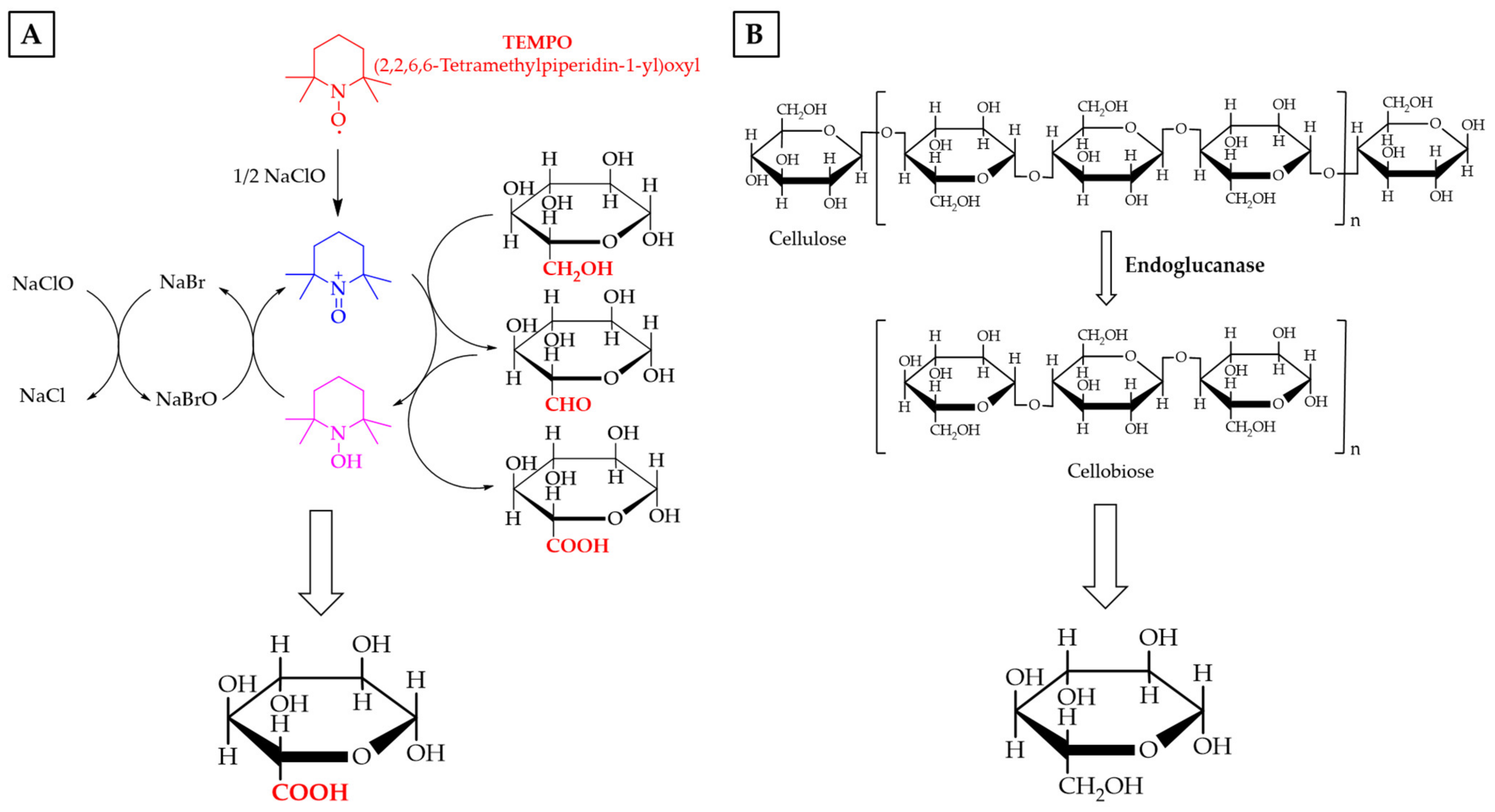 Molecules 26 02558 sch001