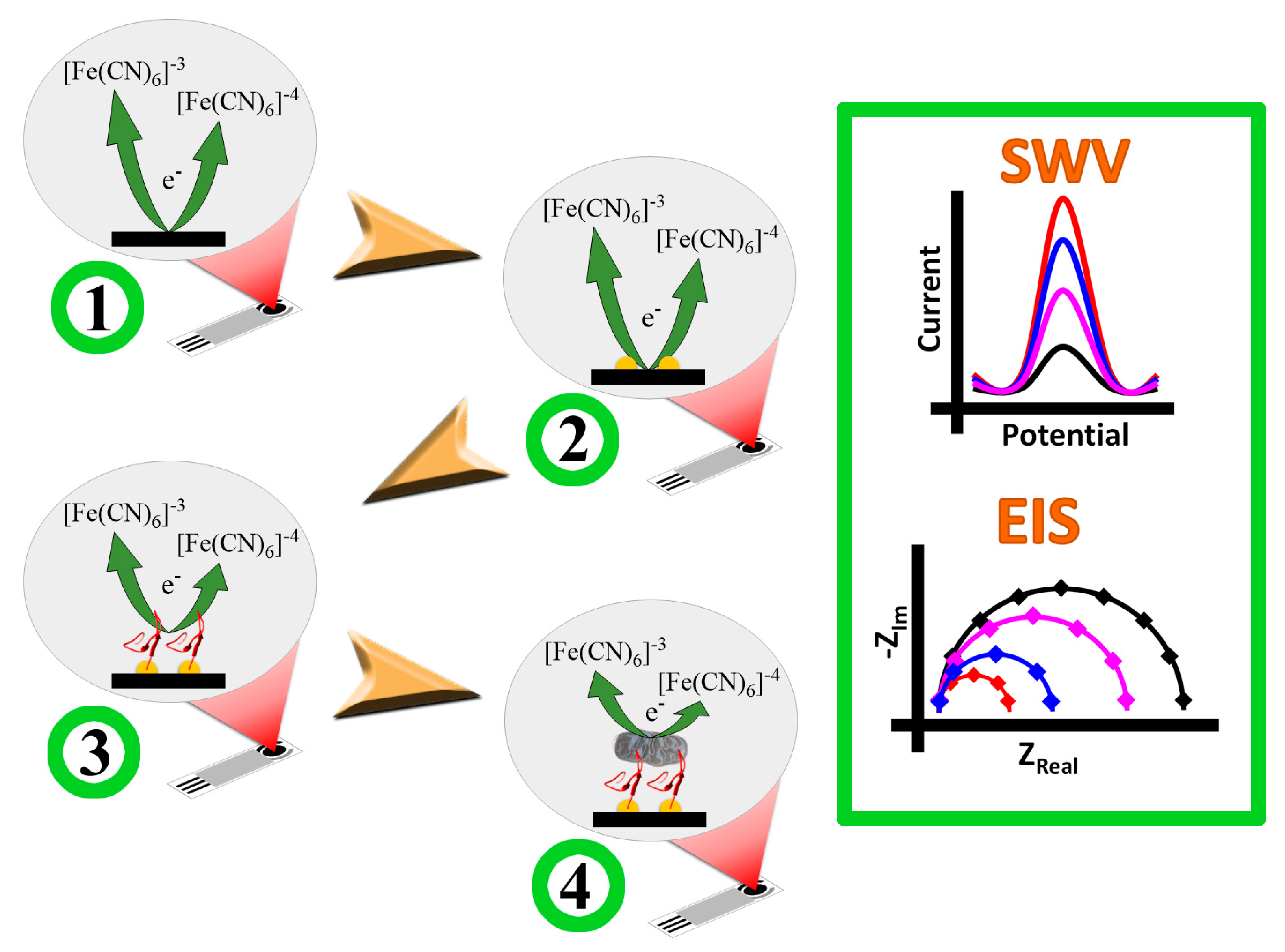Molecules 26 02559 g011