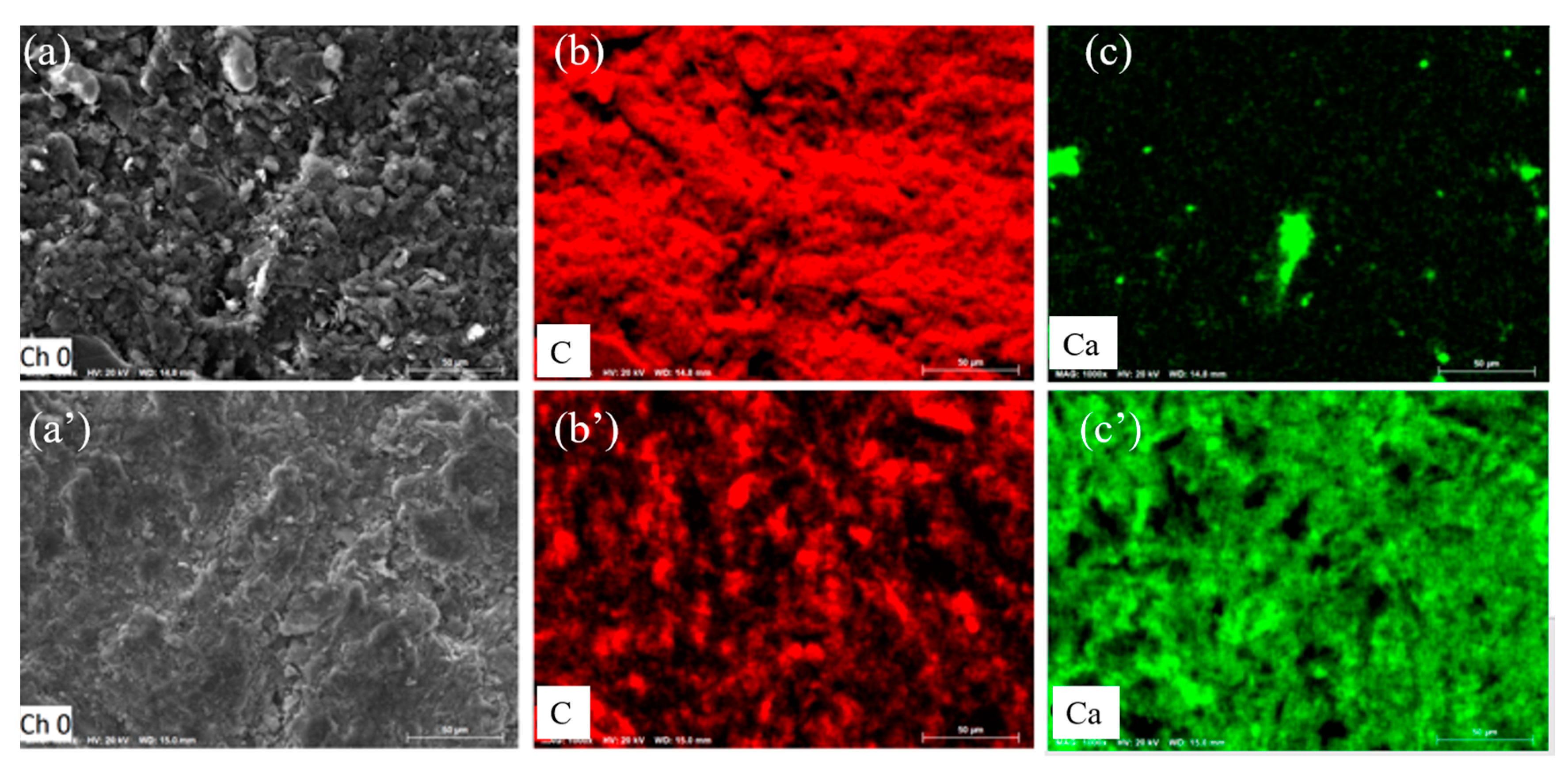 Molecules 26 02568 g004