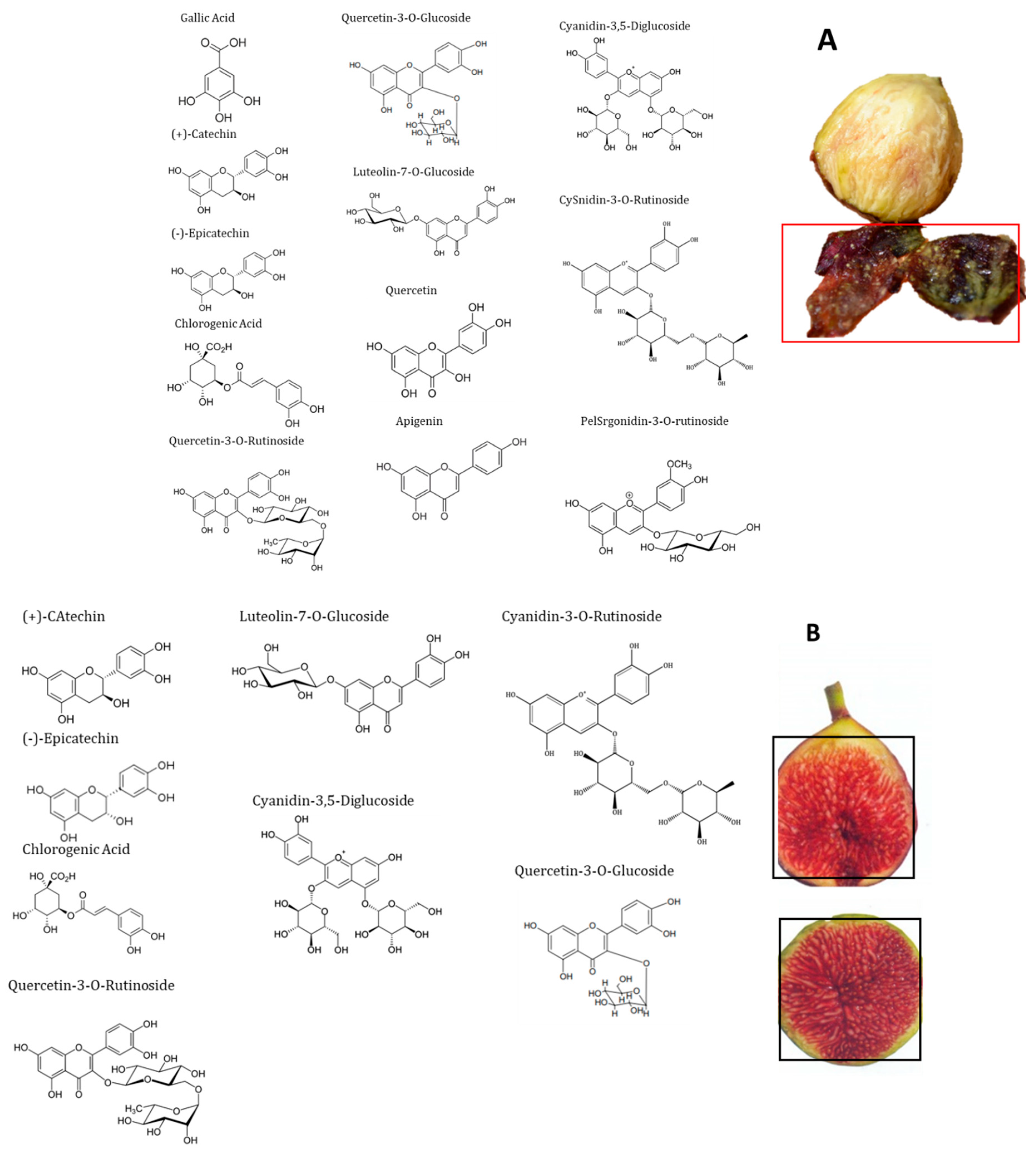 Molecules 26 02574 g003