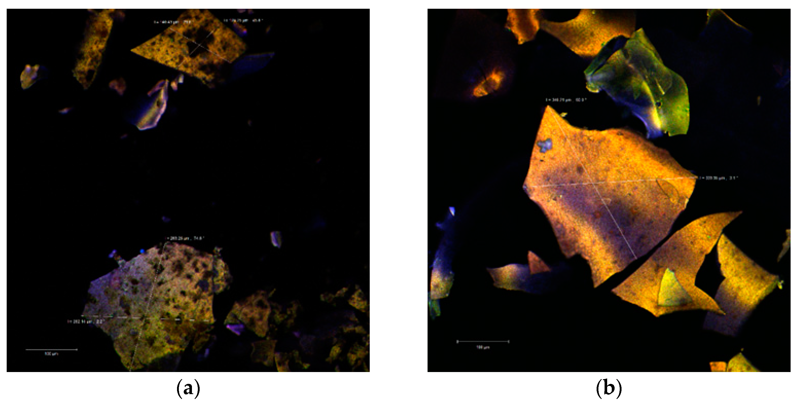 Molecules 26 02579 g002a Molecules 26 02579 g002a