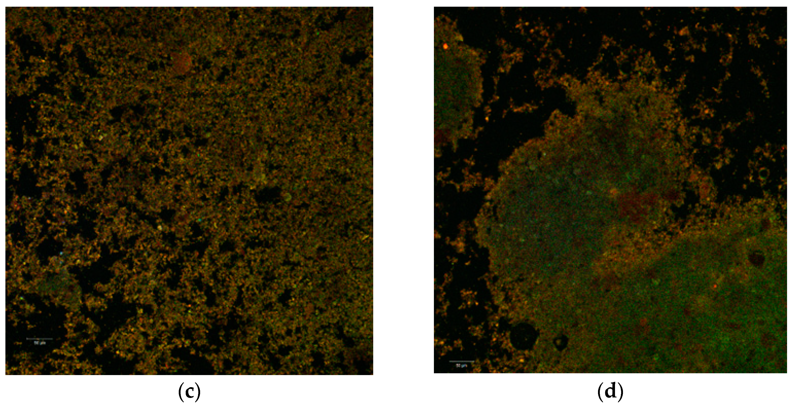 Molecules 26 02579 g002b Molecules 26 02579 g002b
