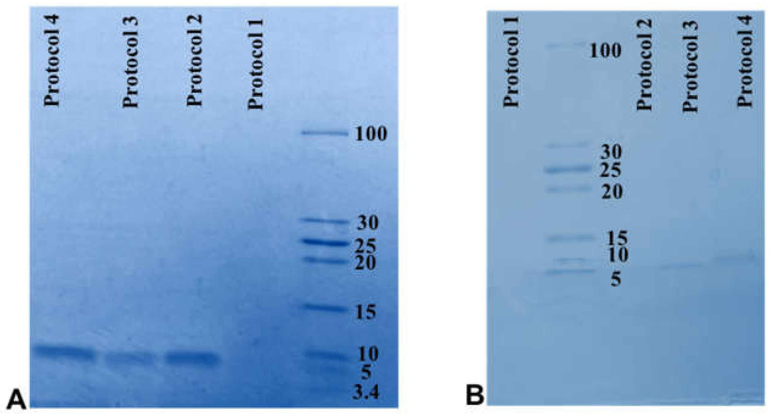 Molecules 26 02580 g004 Molecules 26 02580 g004