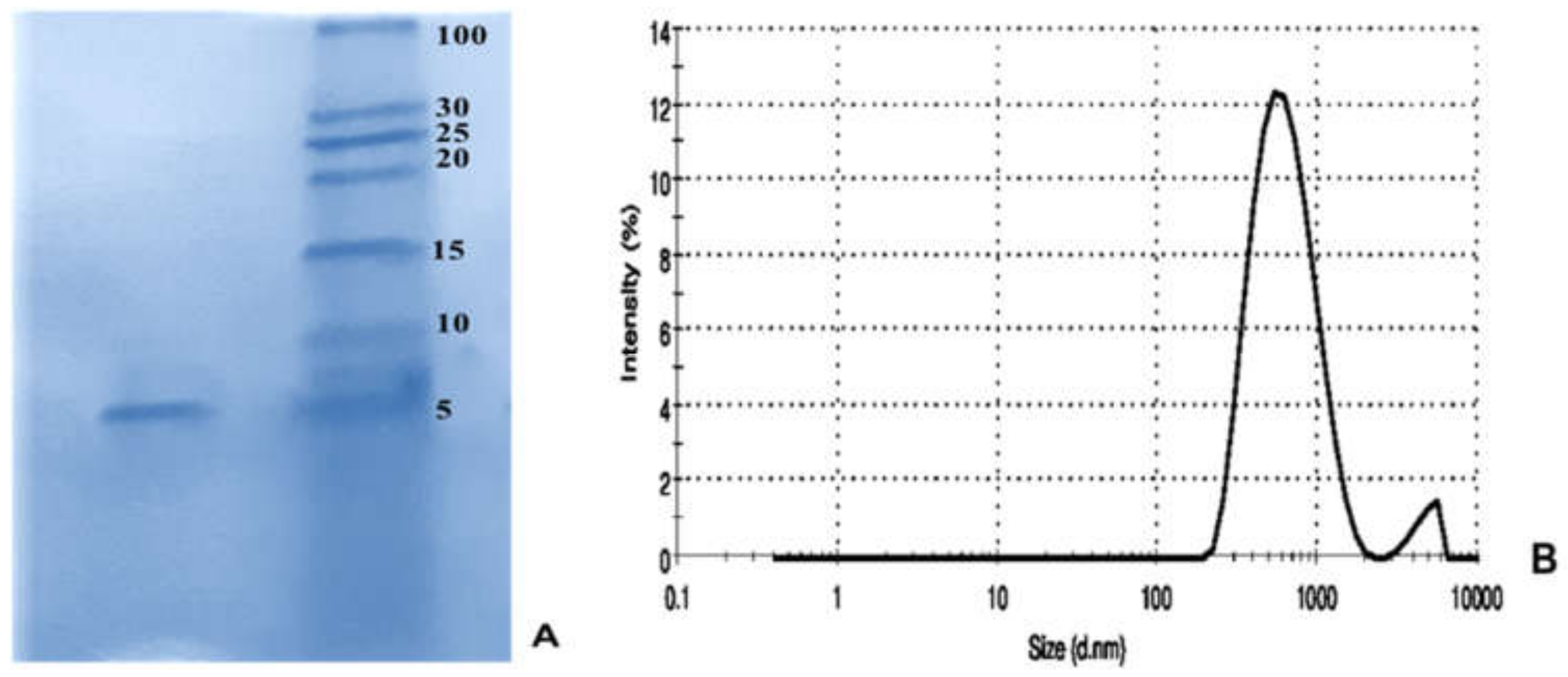 Molecules 26 02580 g007 Molecules 26 02580 g007