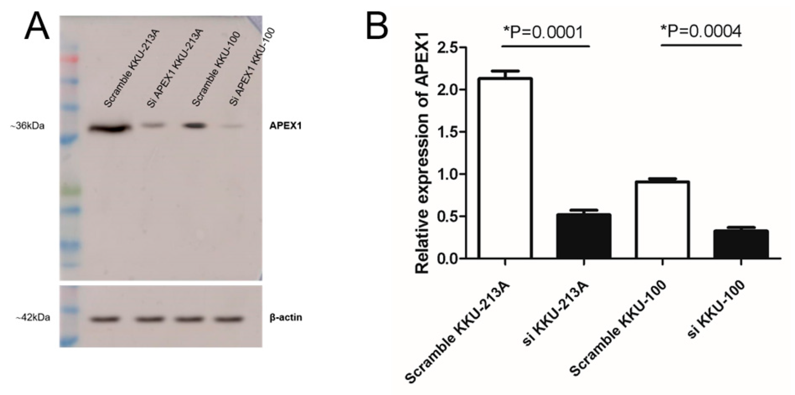 Molecules 26 02587 g002
