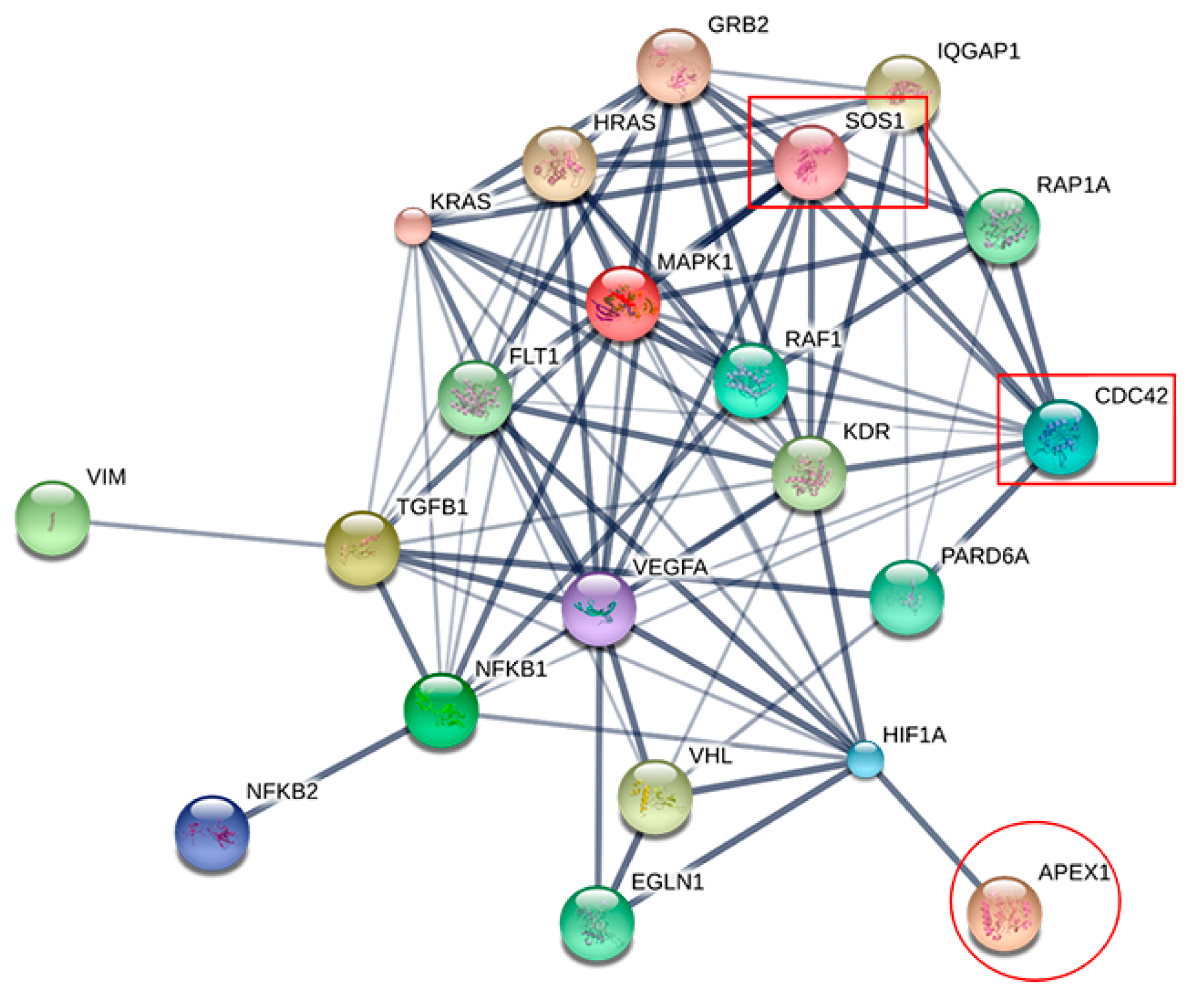 Molecules 26 02587 g004